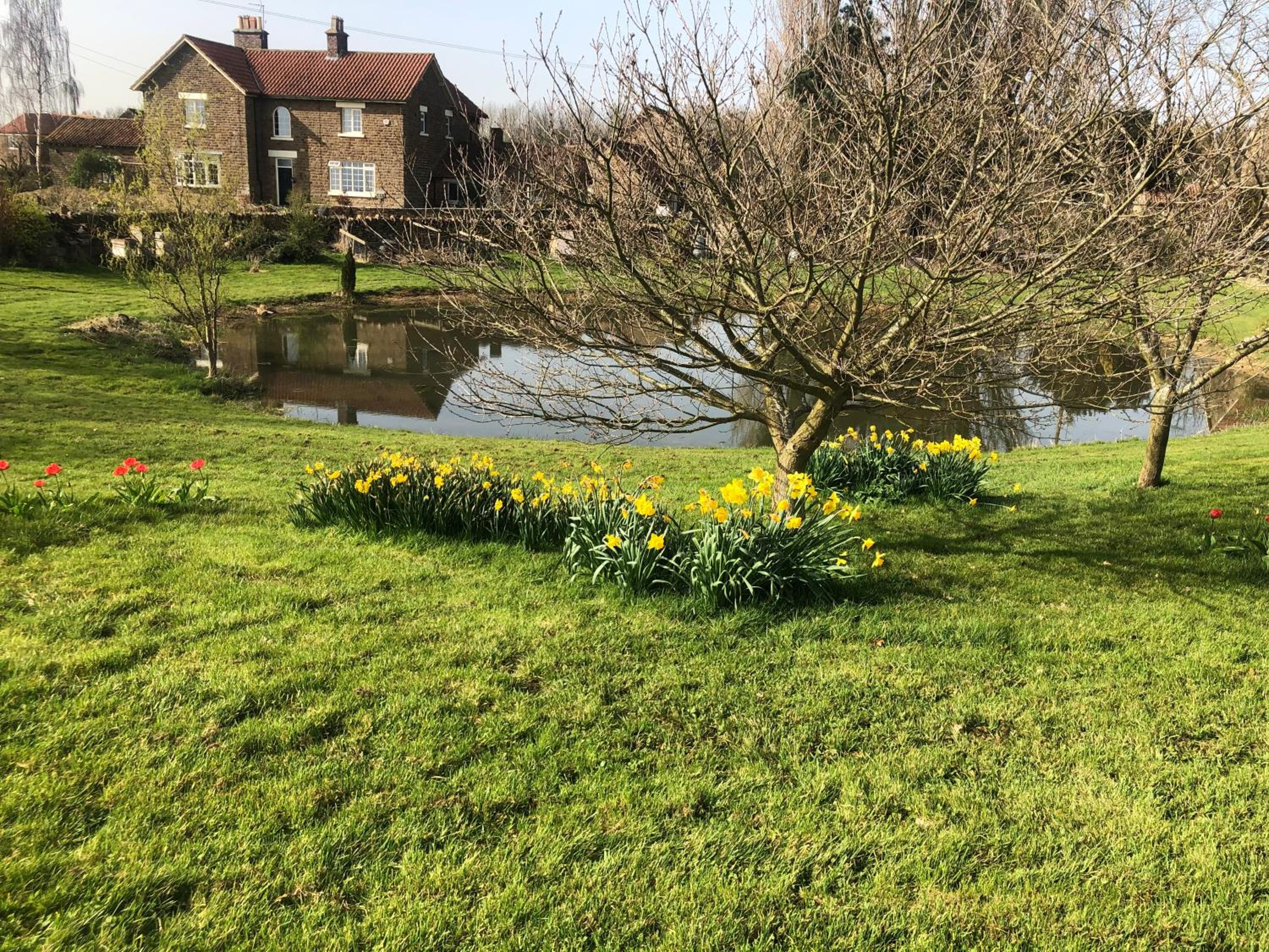 Hall Farm Bed & Breakfast