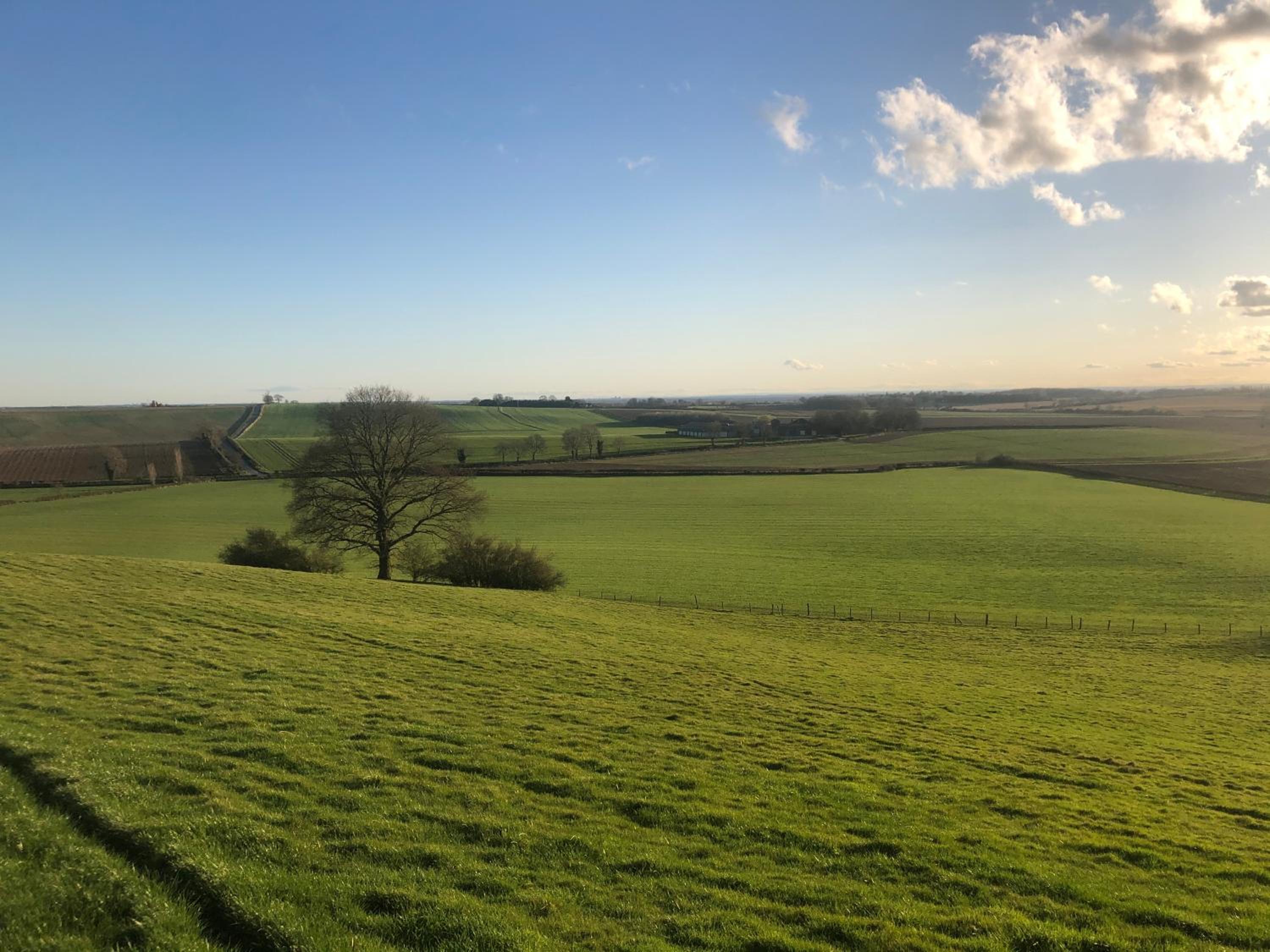 Hall Farm Bed & Breakfast