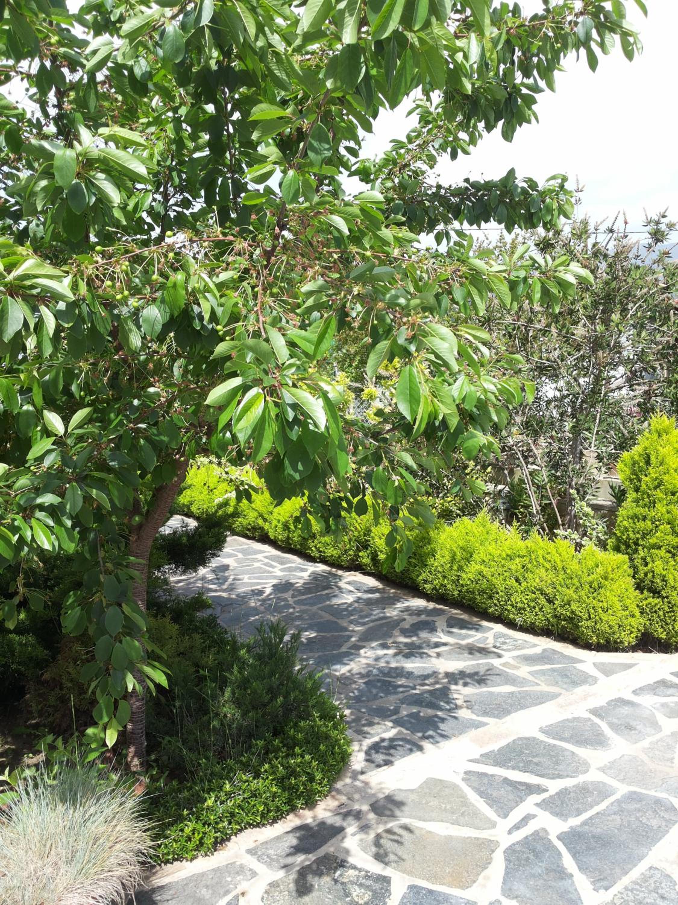 Villa Camellia