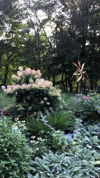 Photo 25