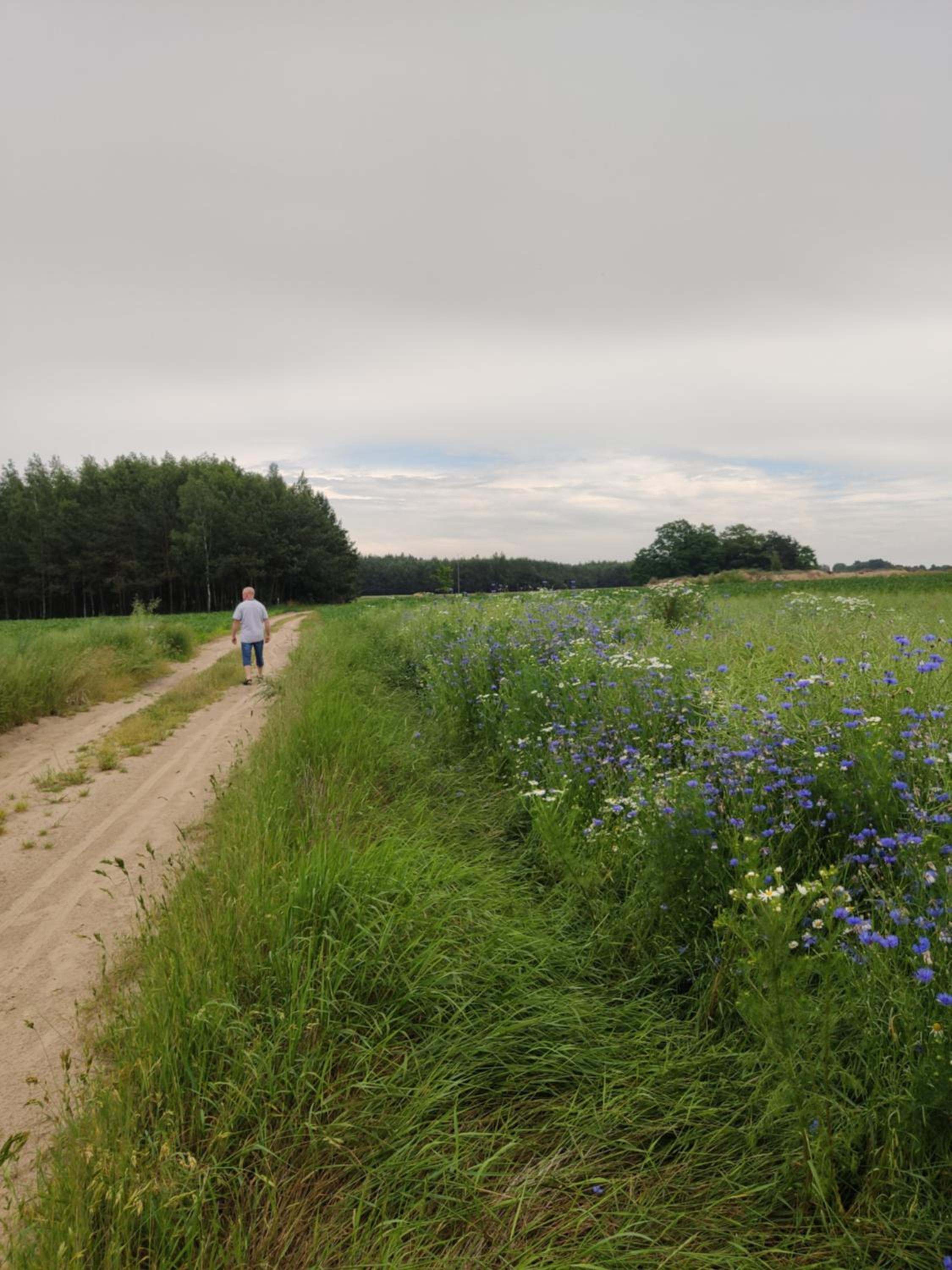 Photo 33