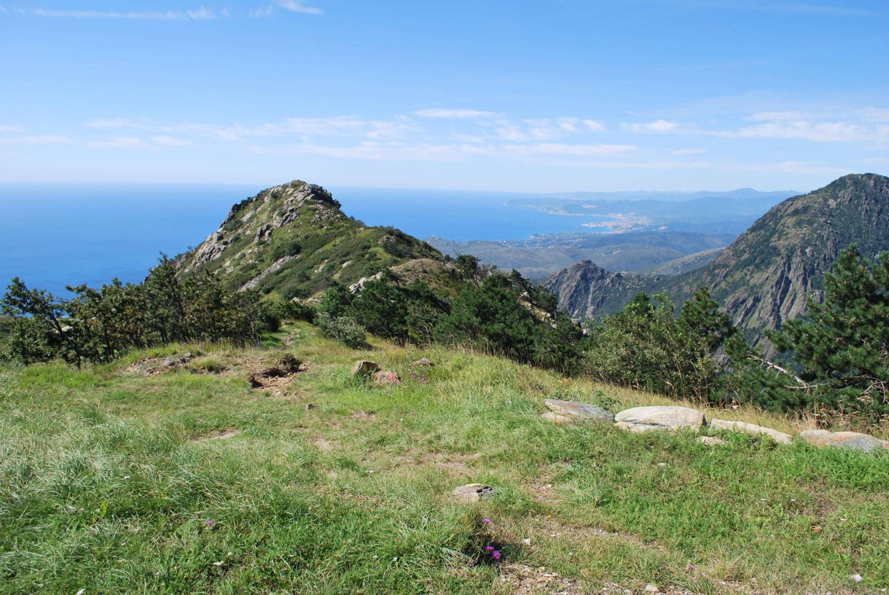 La casa della nonna view 3