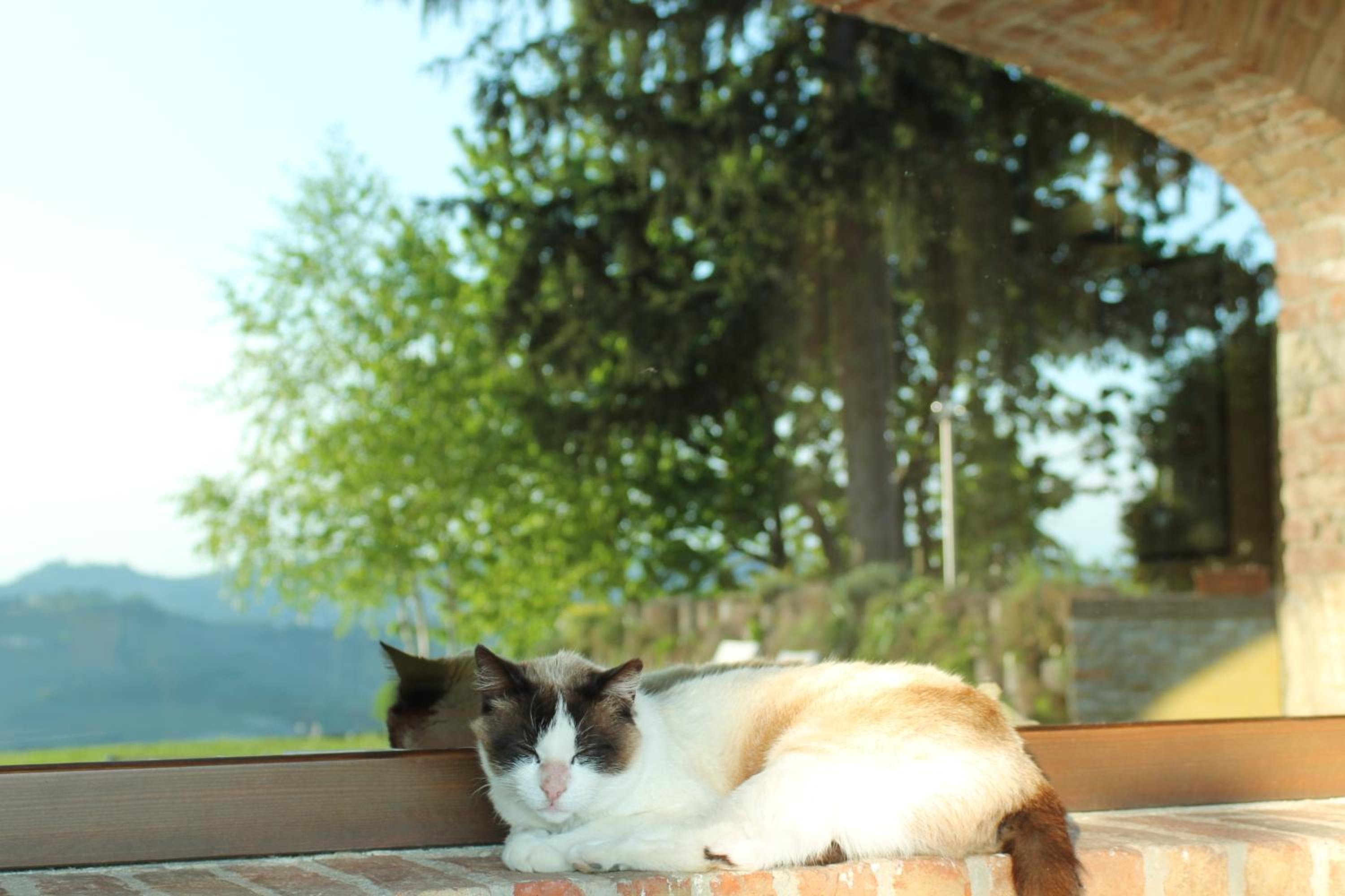 Agriturismo Il Bricco