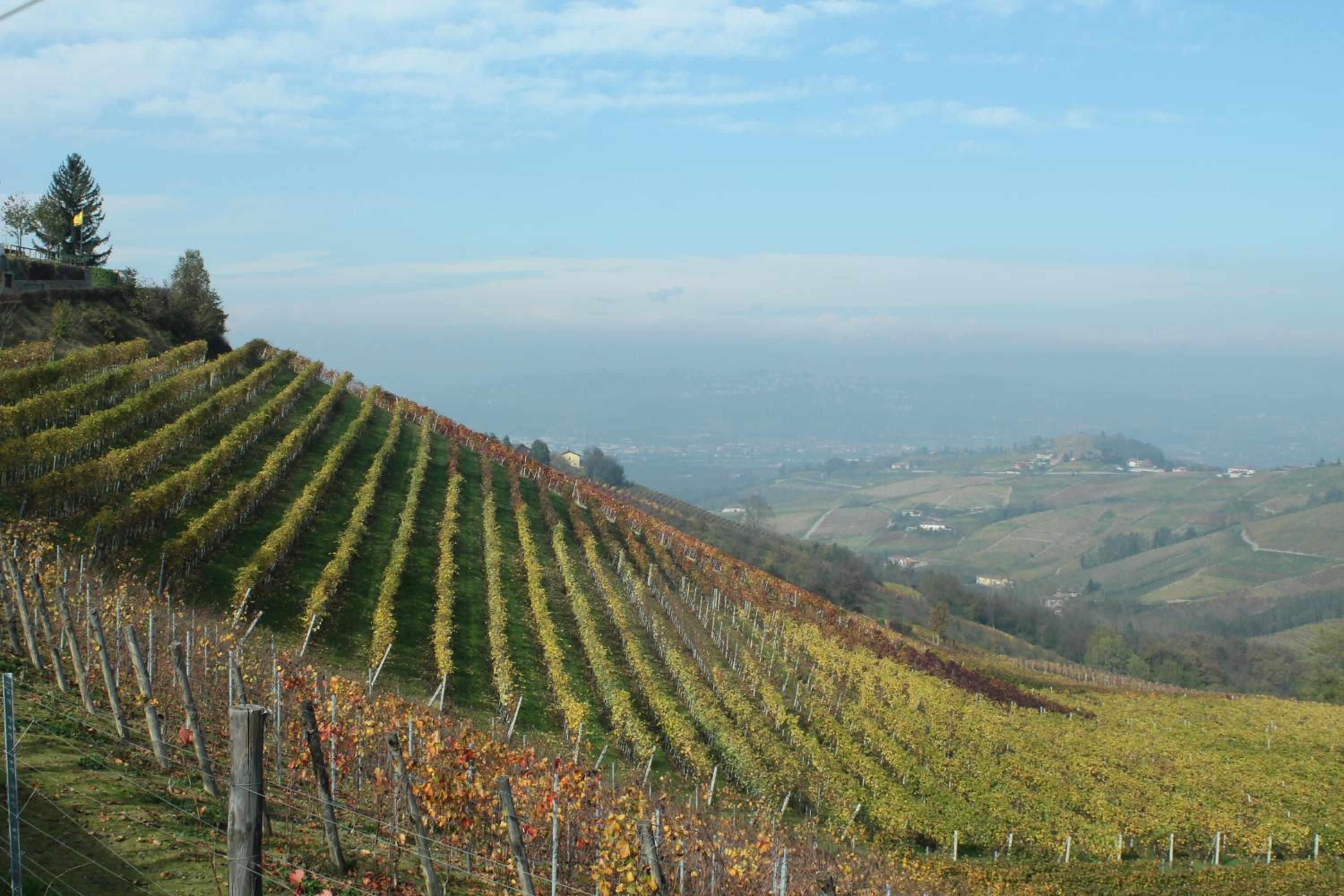 Agriturismo Il Bricco
