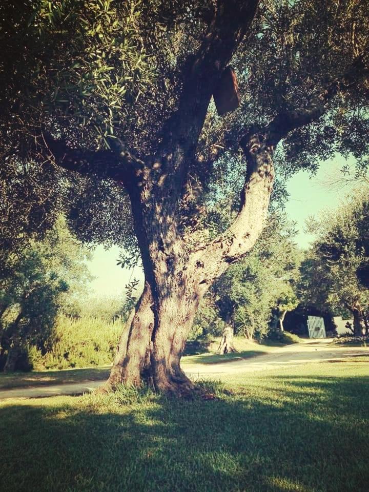 Agriturismo Massaro Pietro
