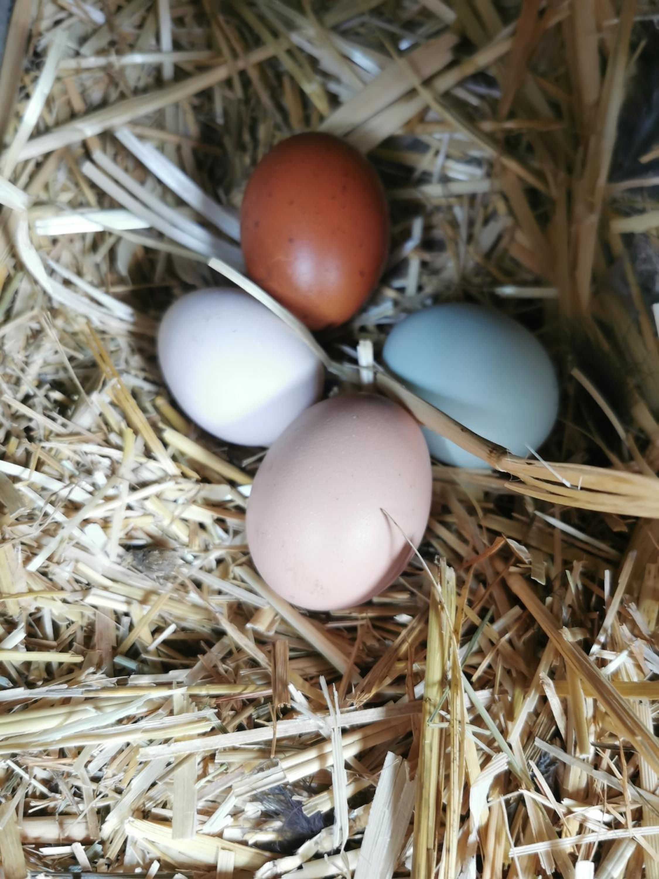 B&B A la Ferme d'Ourches