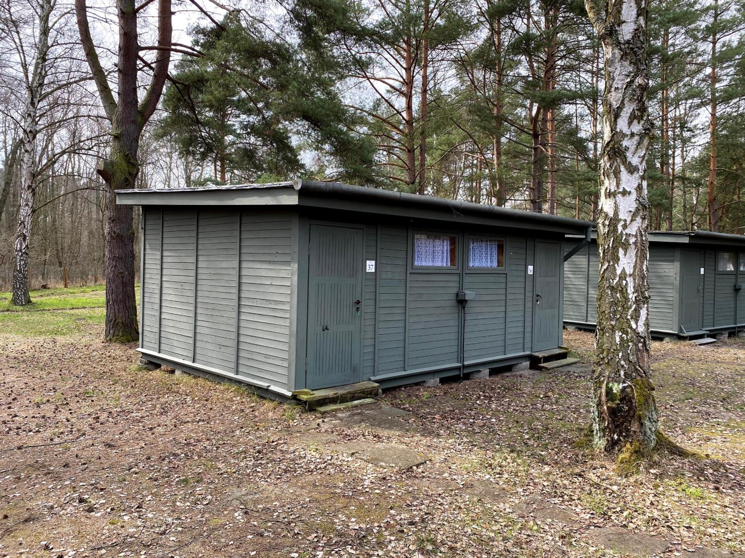 Camp Bursztynowy Las — photo 29