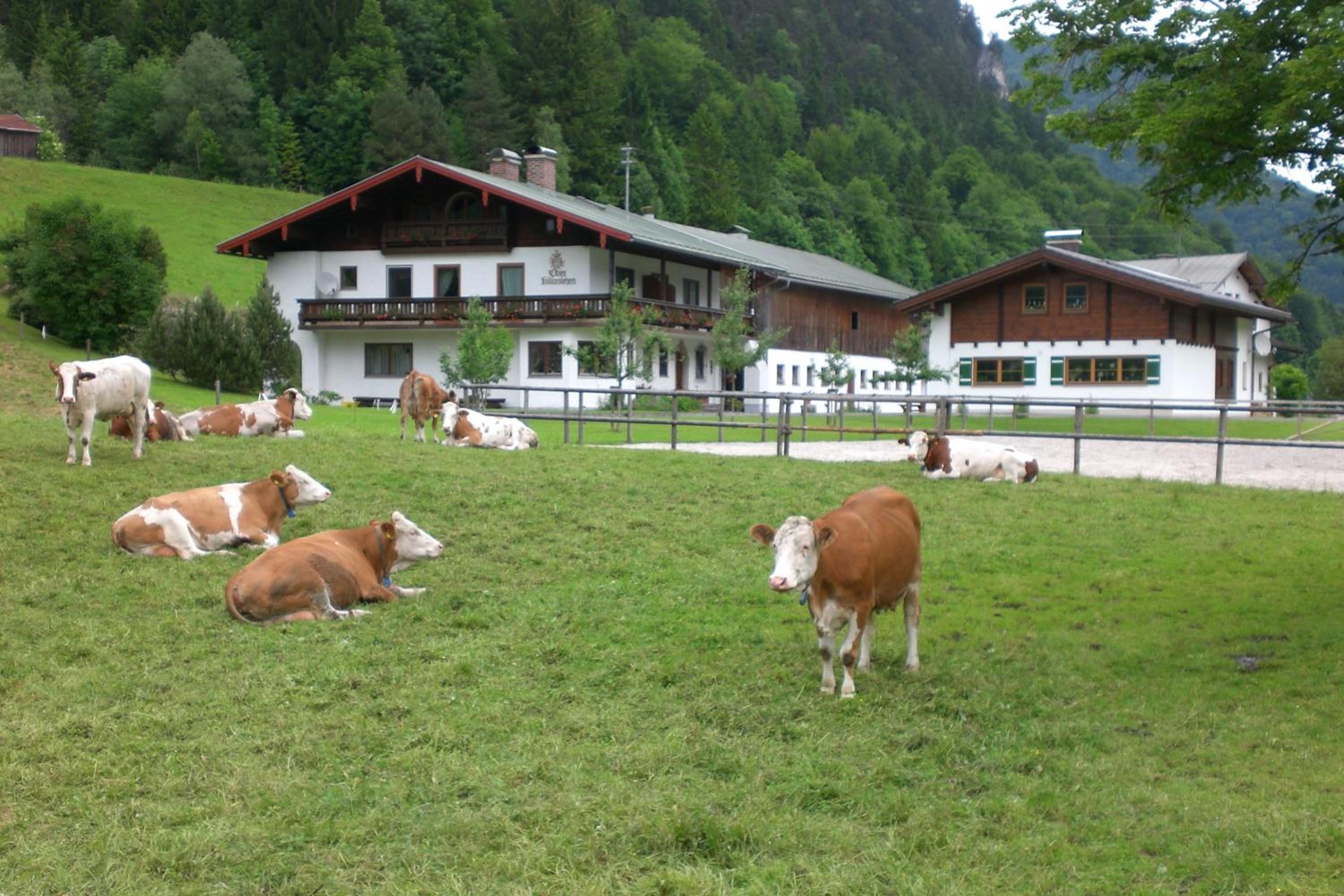 Kilianhof