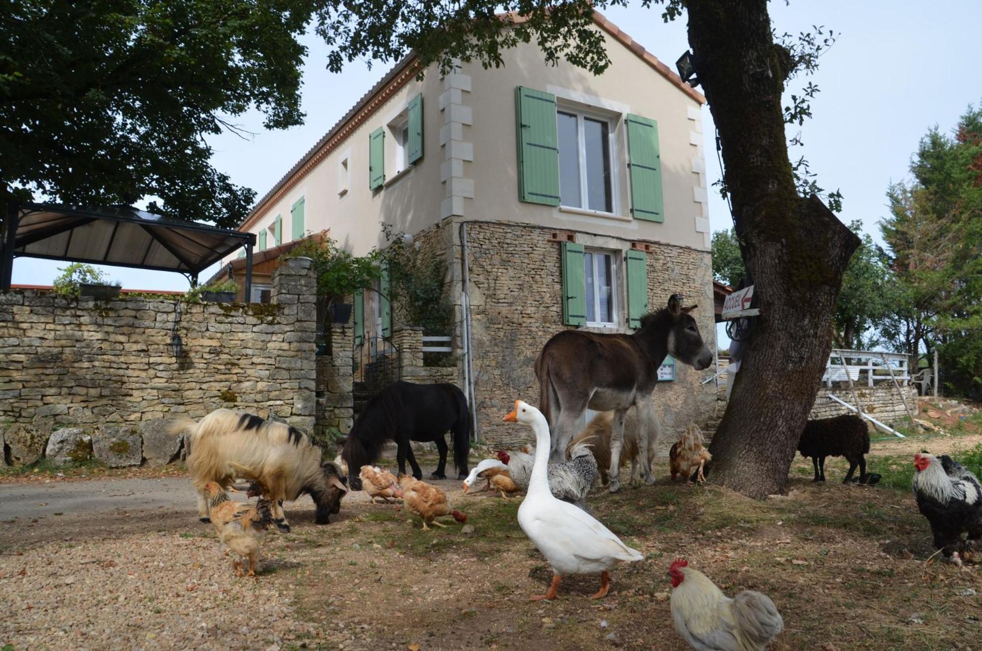 La Ferme Des Vergnes