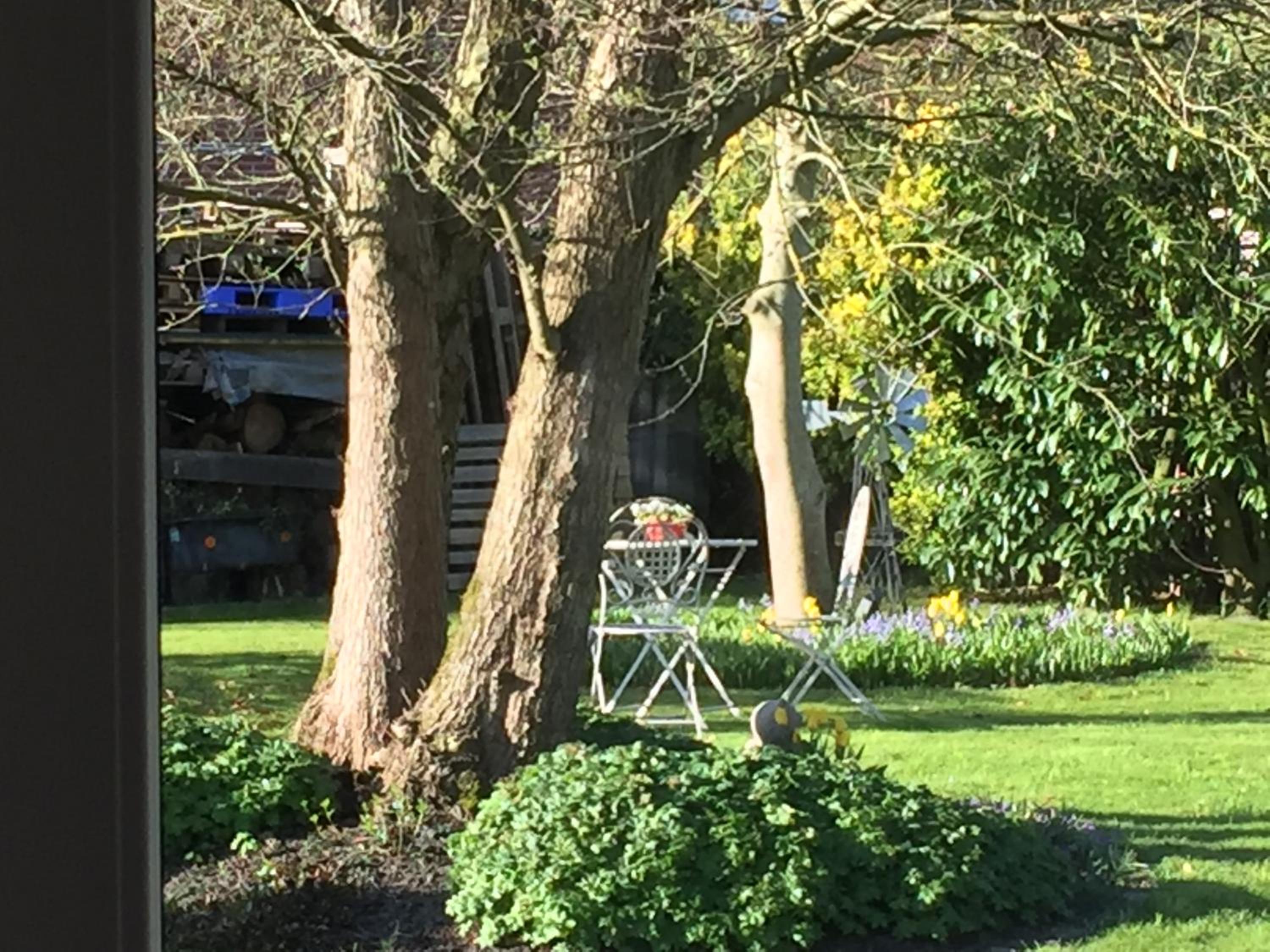 B&B 't Gezellig Huizeke
