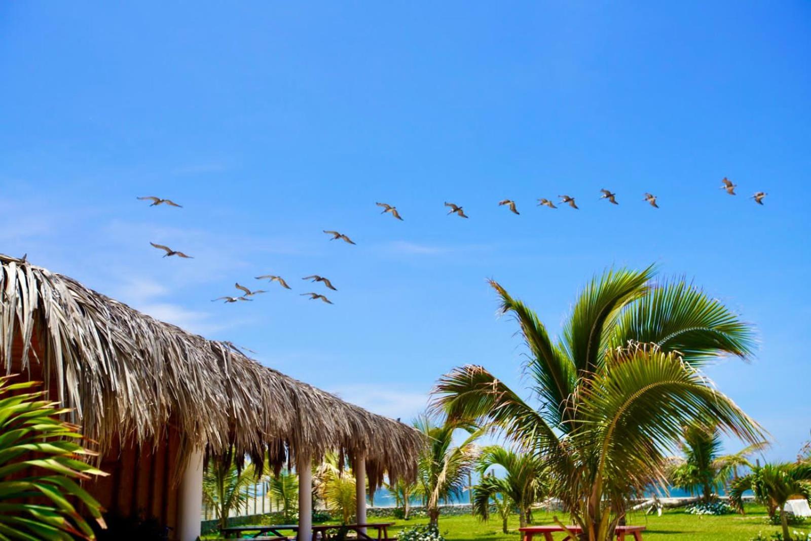 Hotel Los Vientos de Vichayito
