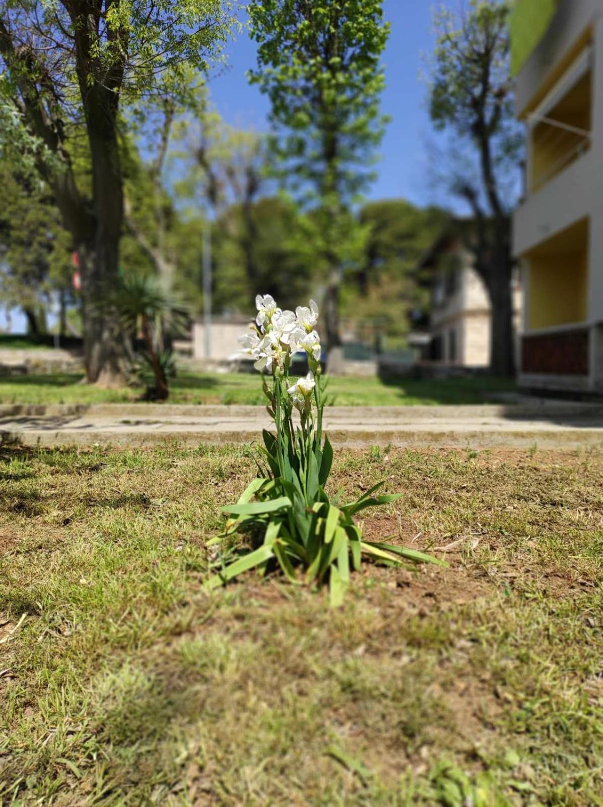 Photo 28