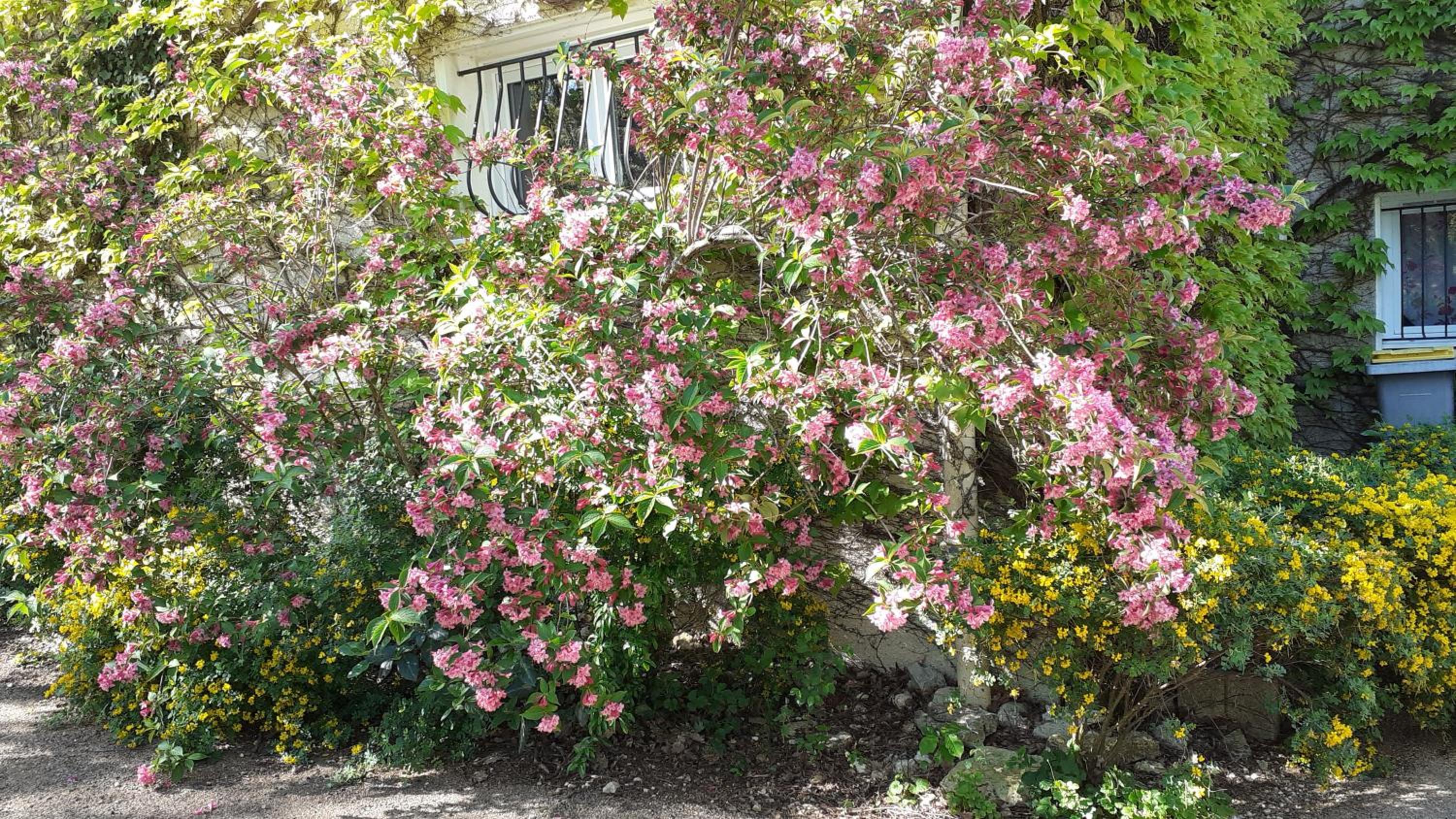 Photo 14