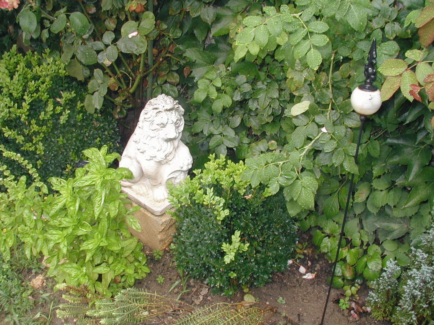 Photo 25