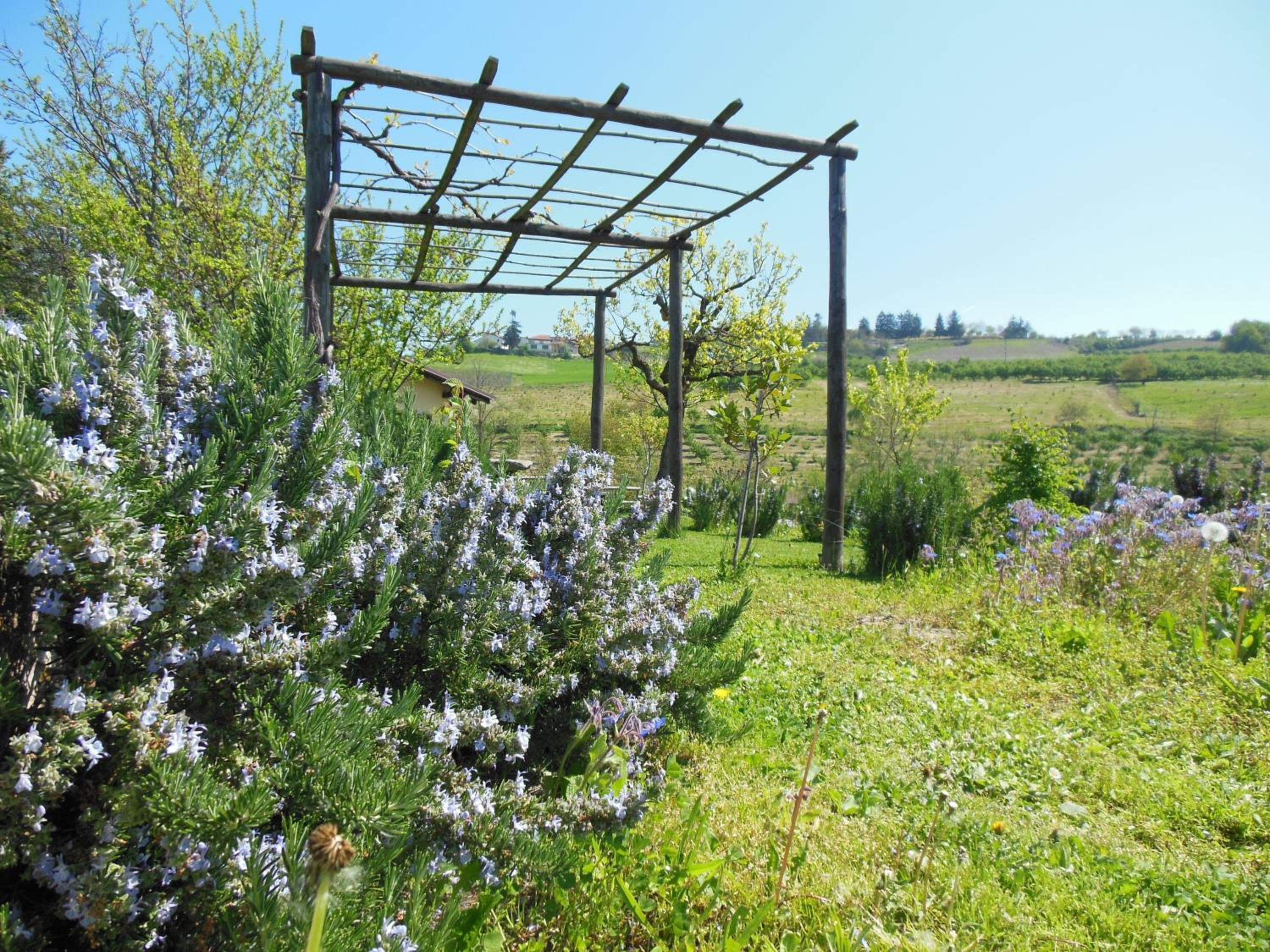 Photo 45