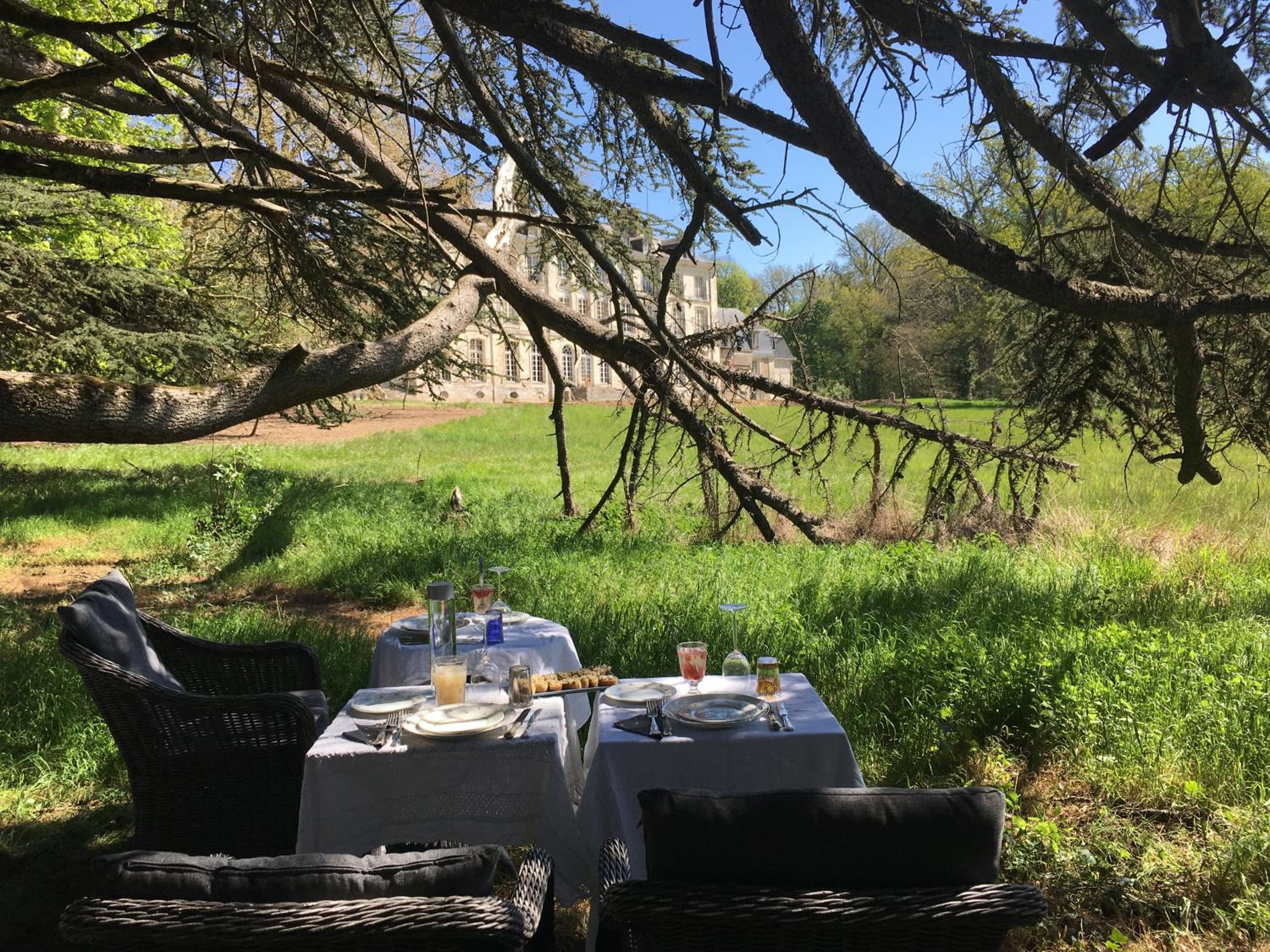 Chateau de Freschines view 2