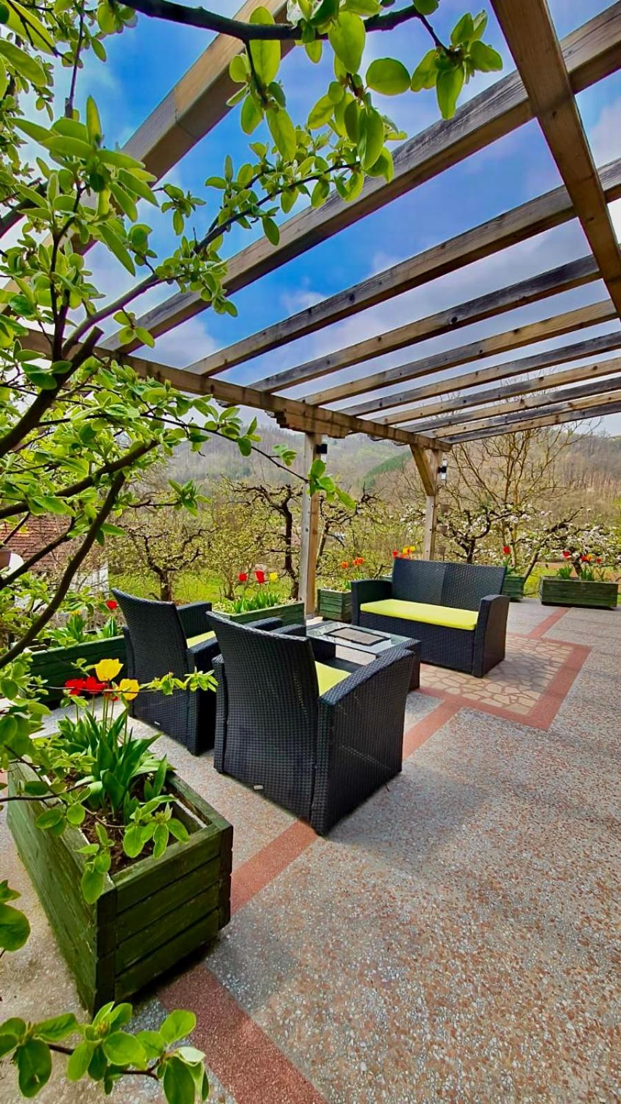 Vila Djordjevic - Priroda vas okruzuje view 4