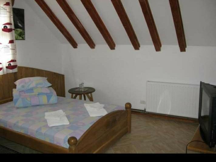 Casa cu flori Murighiol view 4