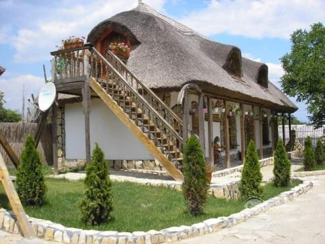 Casa cu flori Murighiol view 3