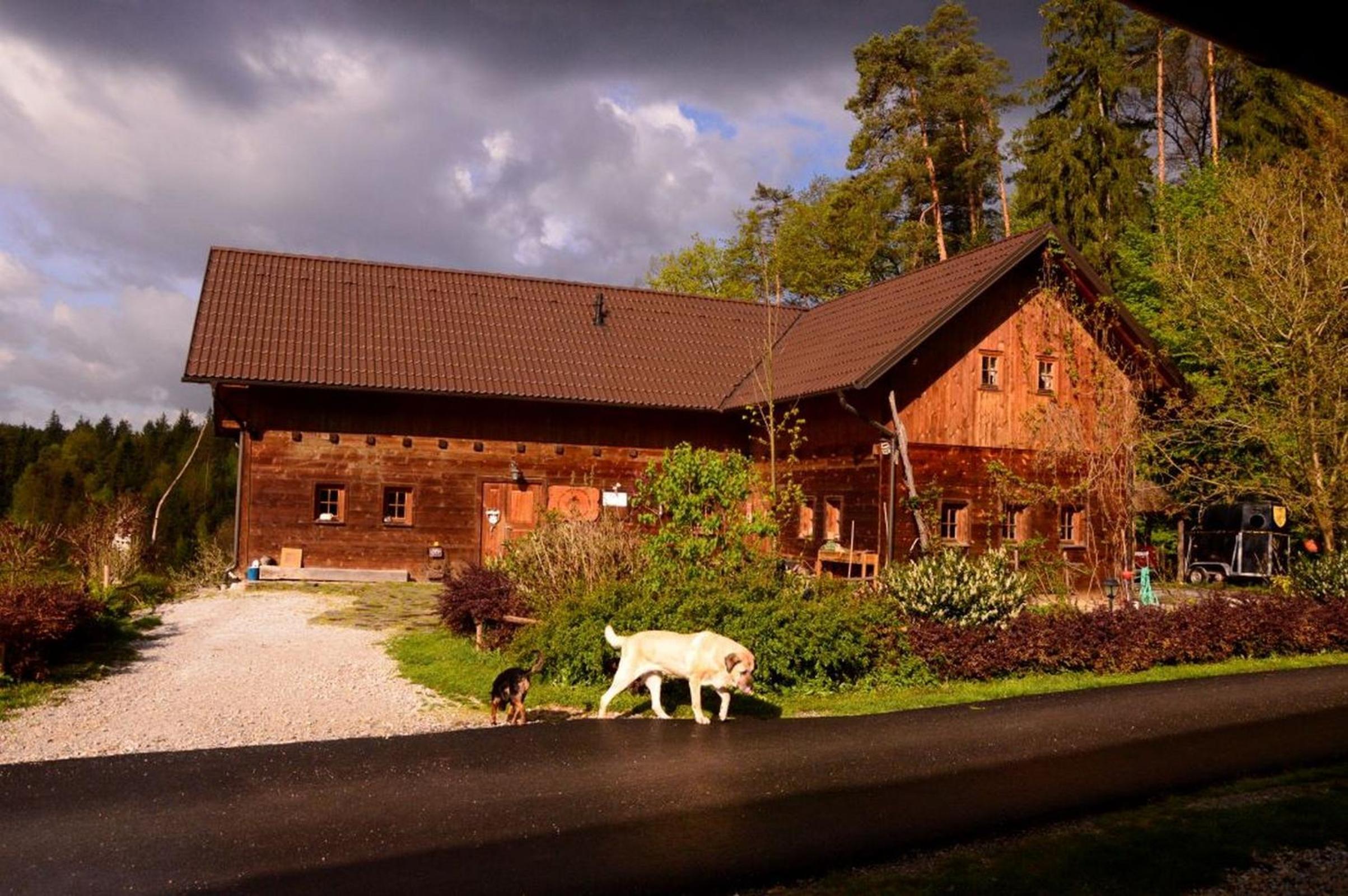 Ranch Kaja & Grom view 2