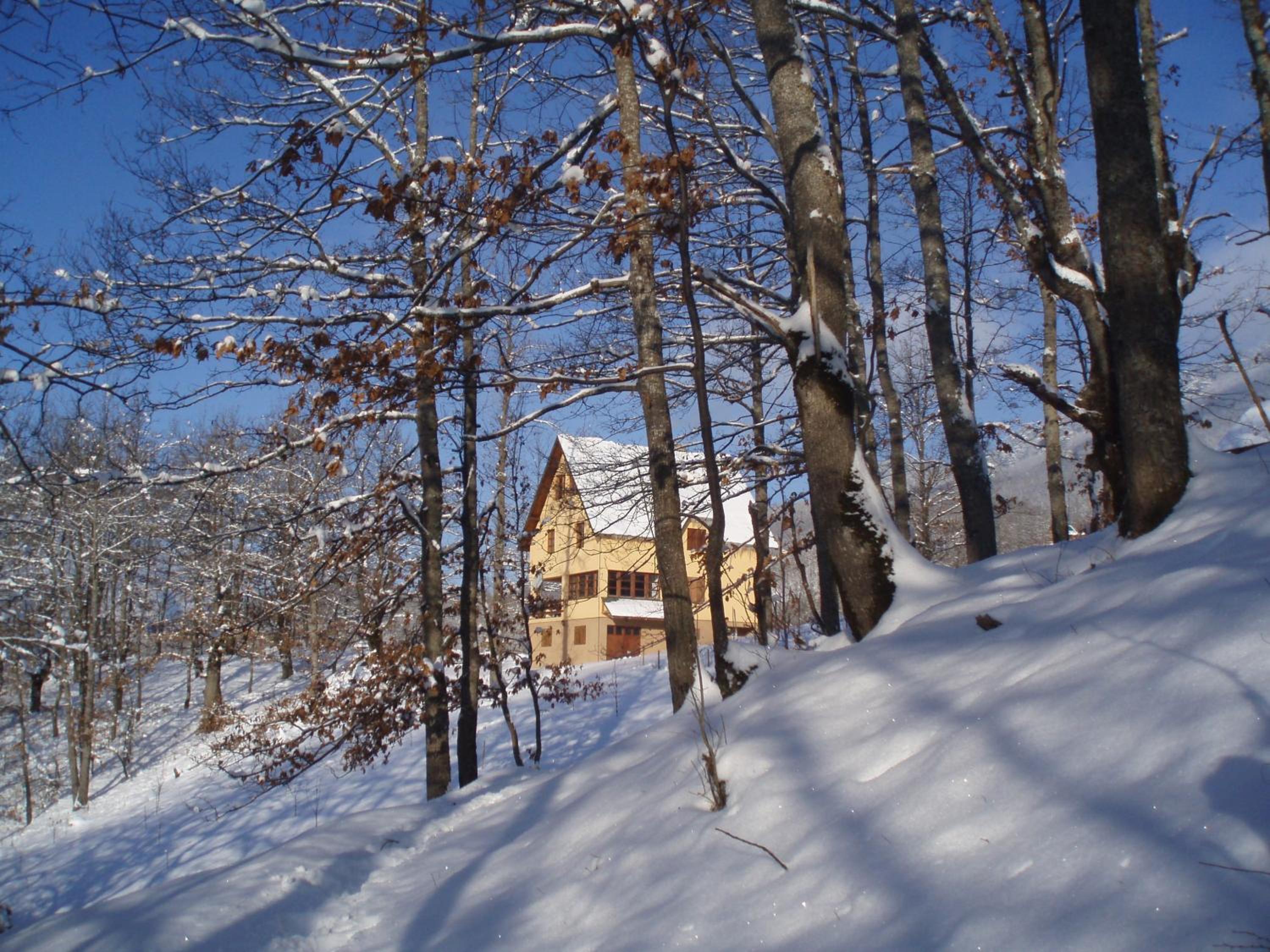 Guest House Tara Canyon
