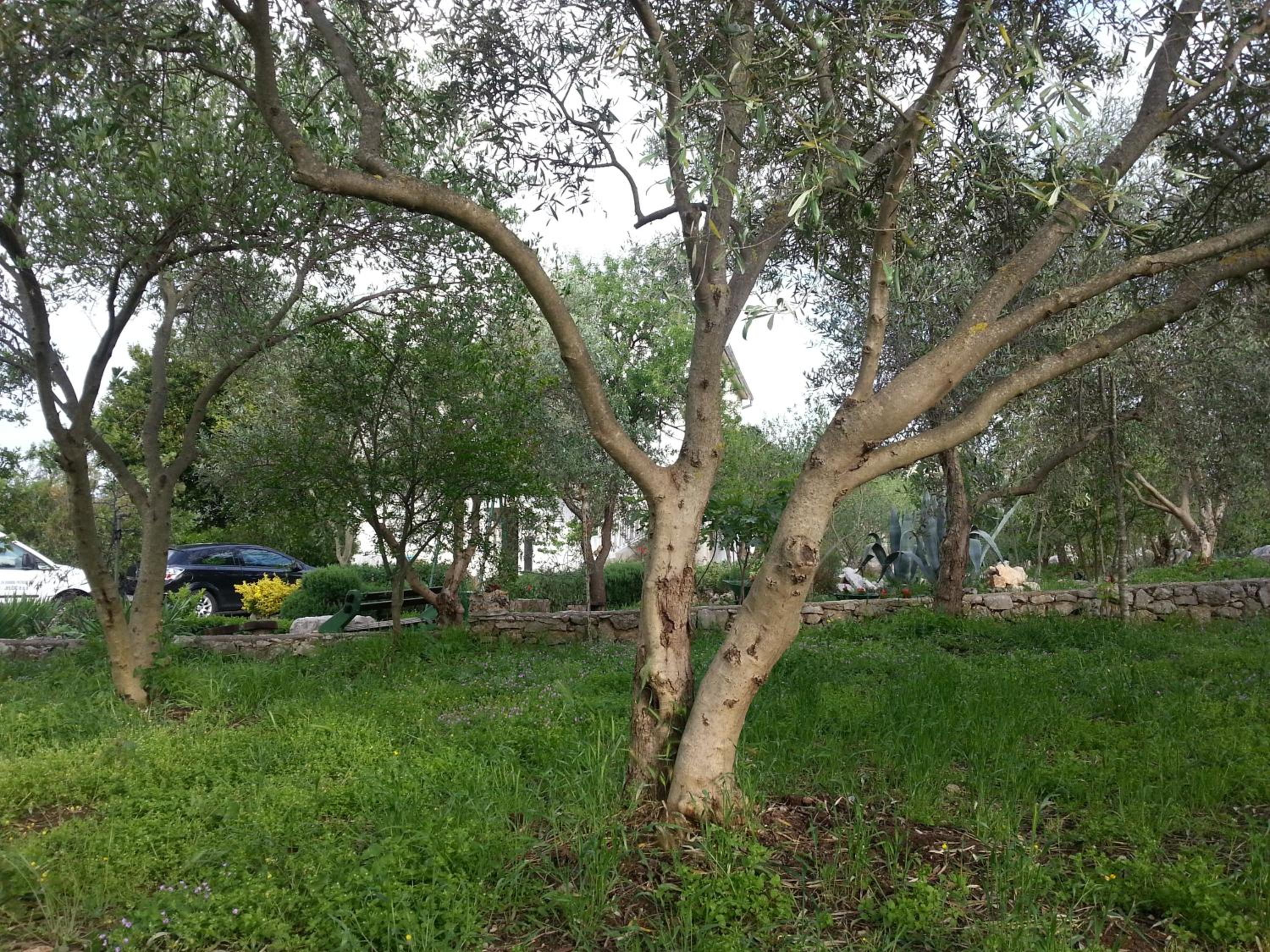 Photo 26