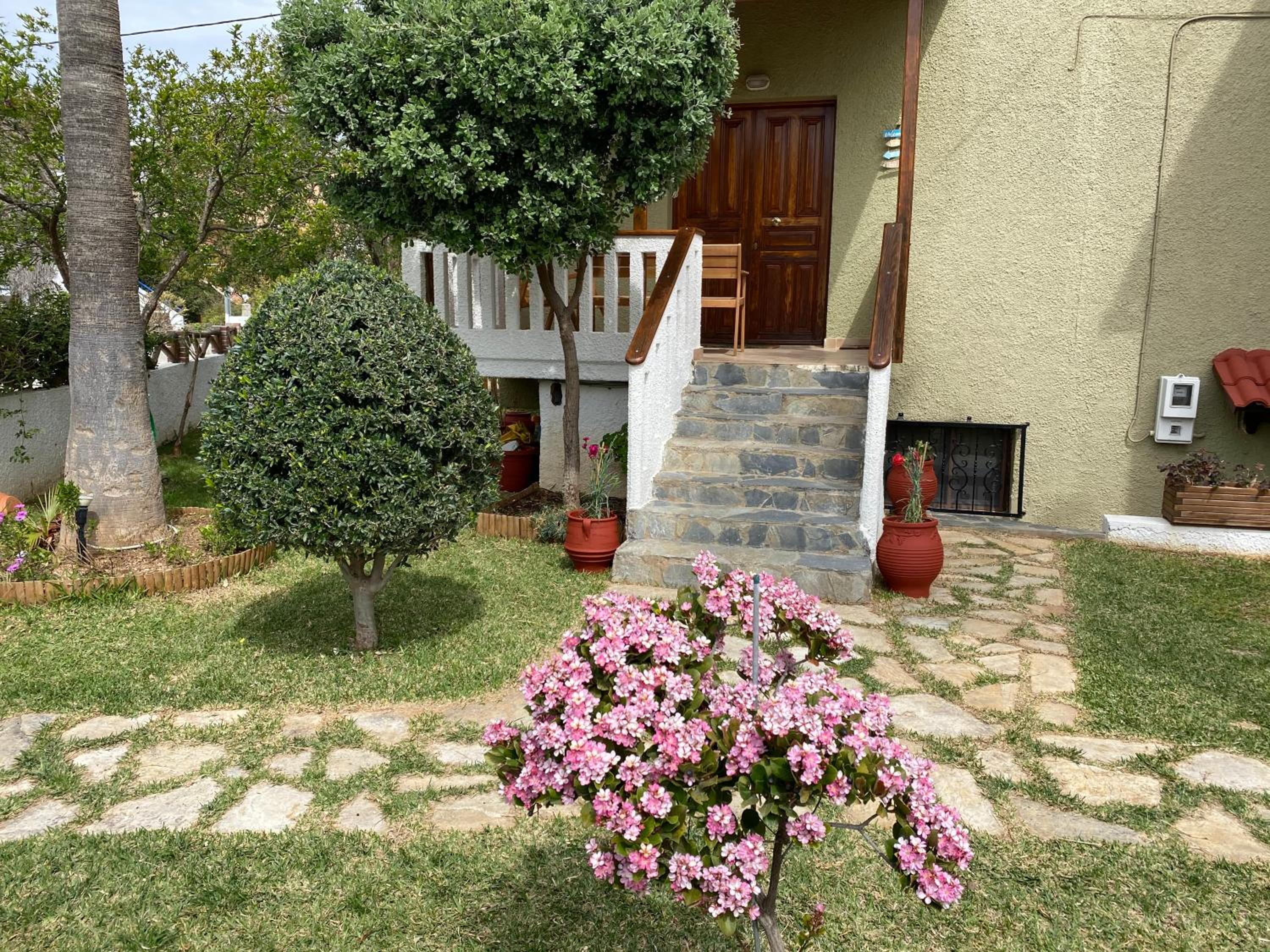 Photo 43