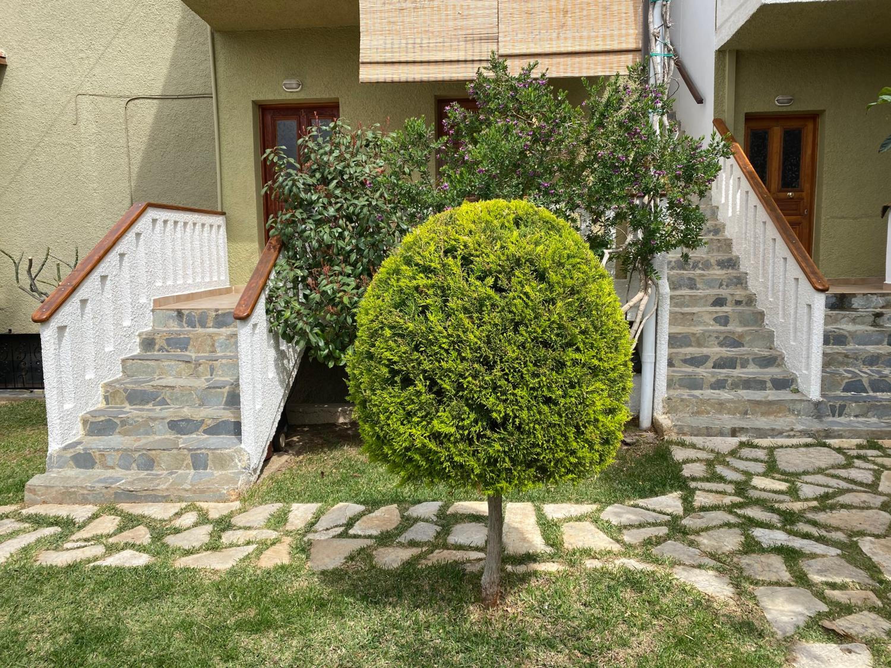 Photo 46