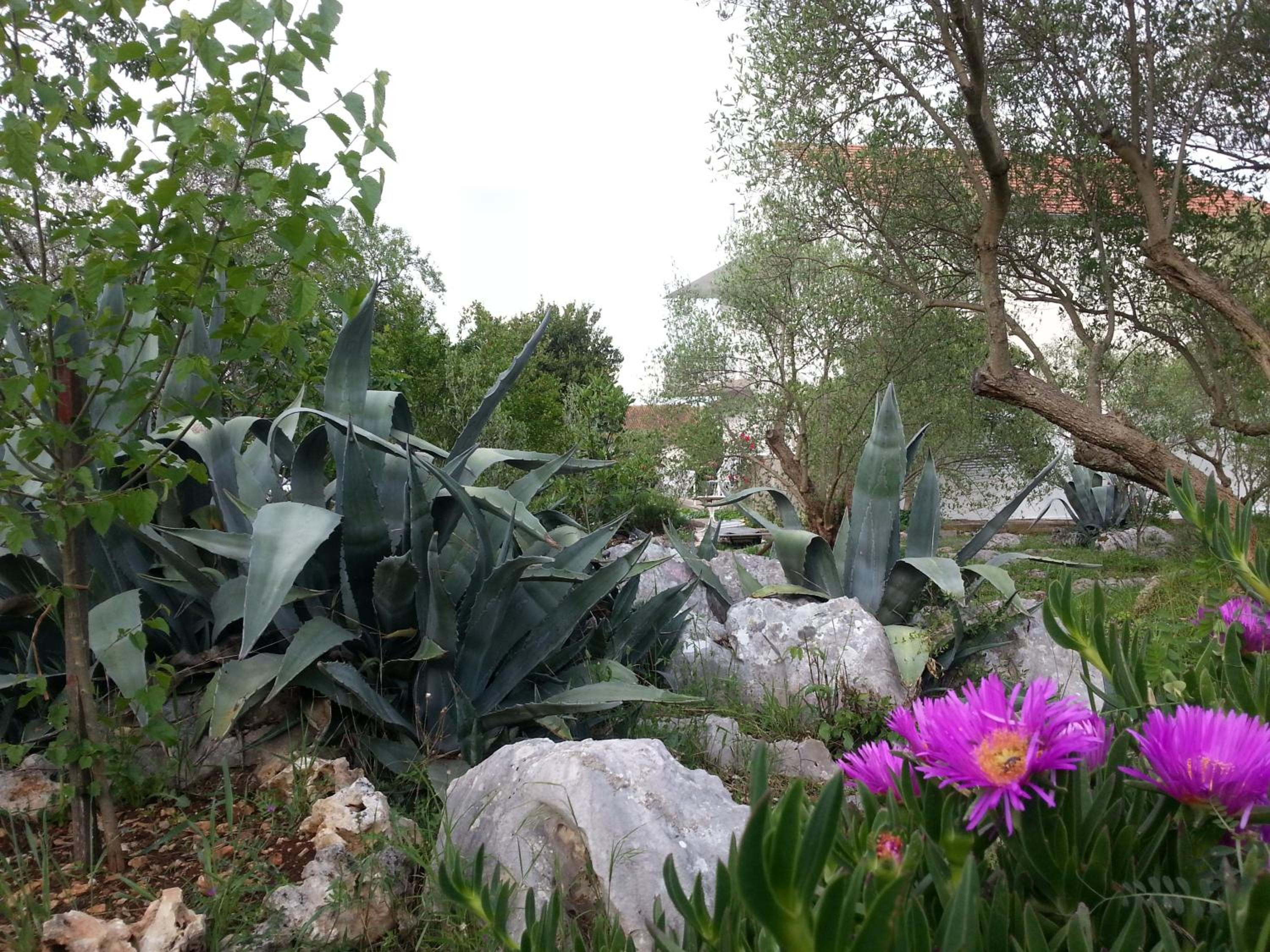 Photo 28