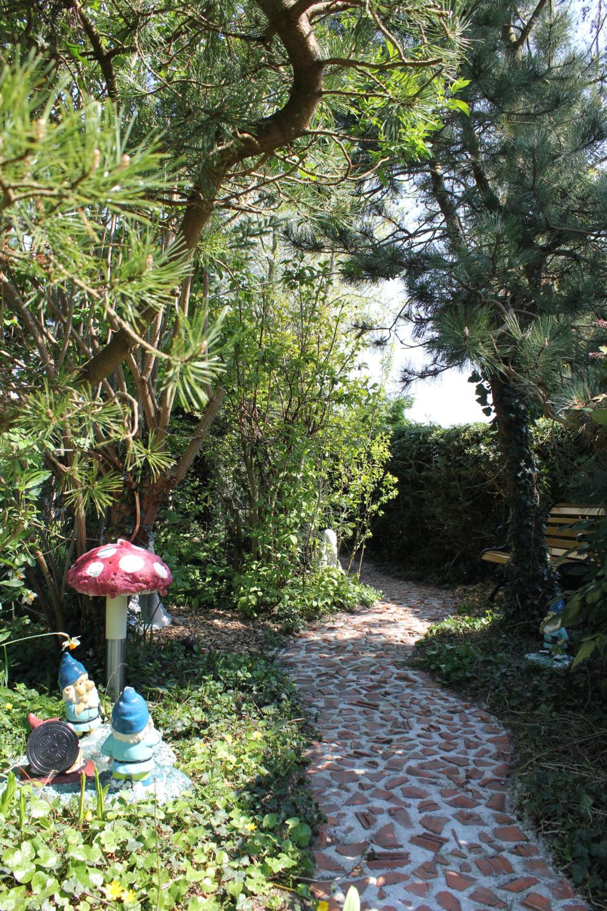 Photo 41