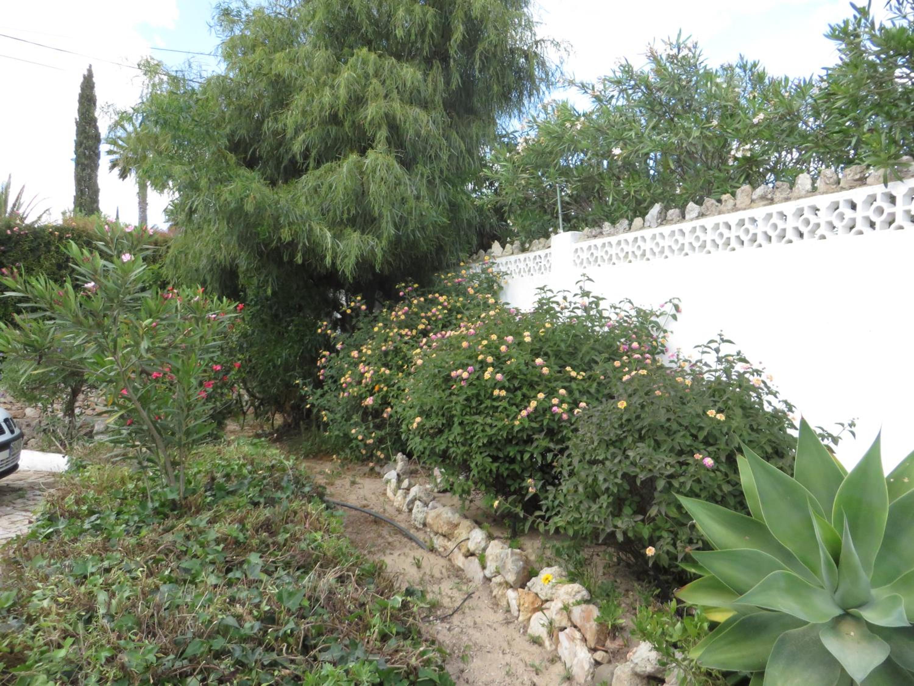 Photo 51