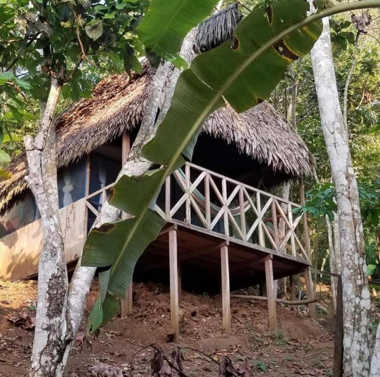 Katari Center