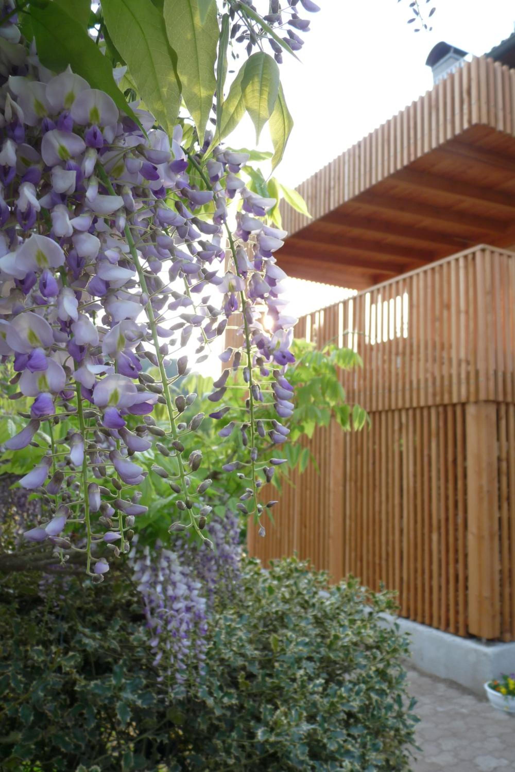 B&B Casa sul Lago - Appartamenti