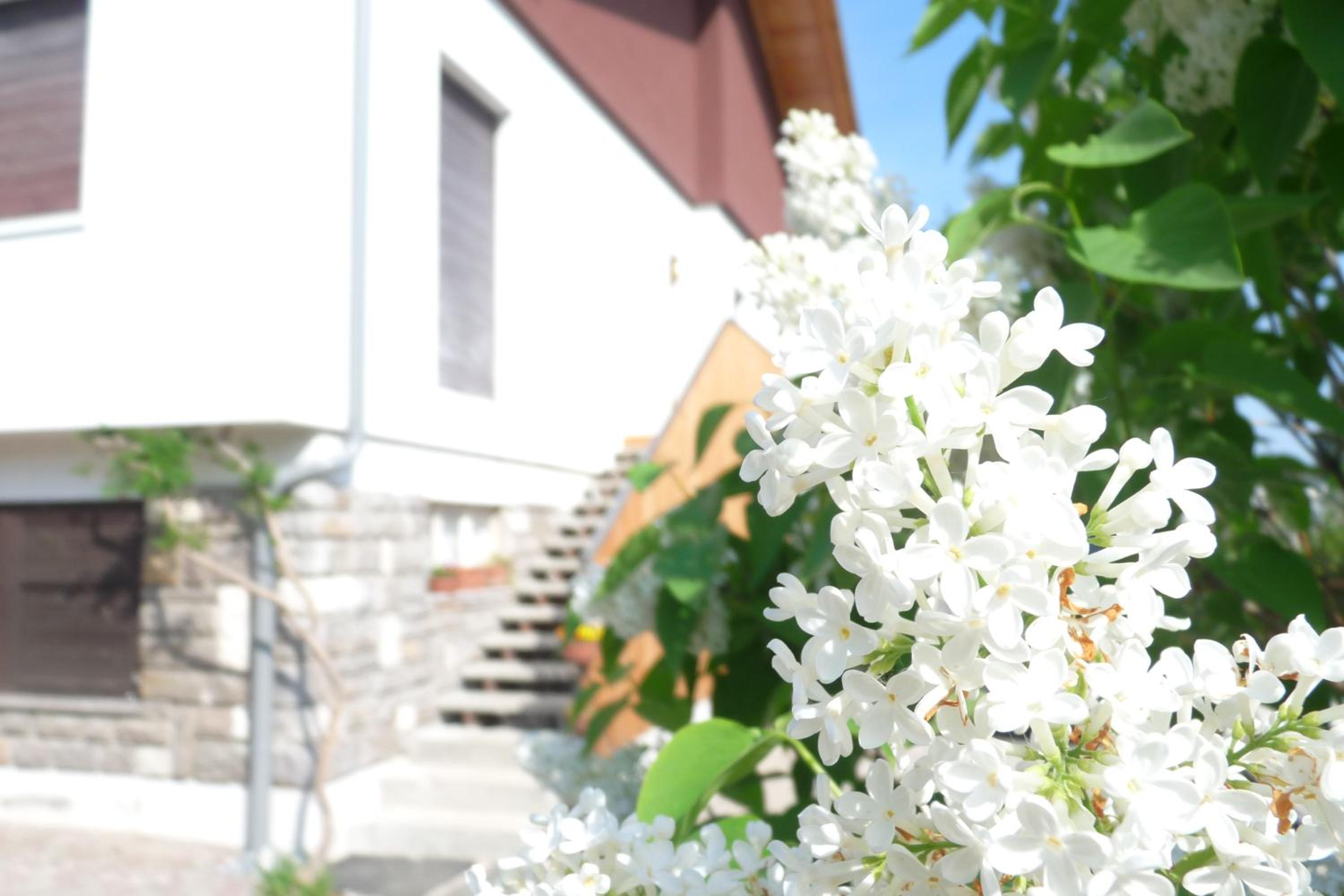 B&B Casa sul Lago - Appartamenti