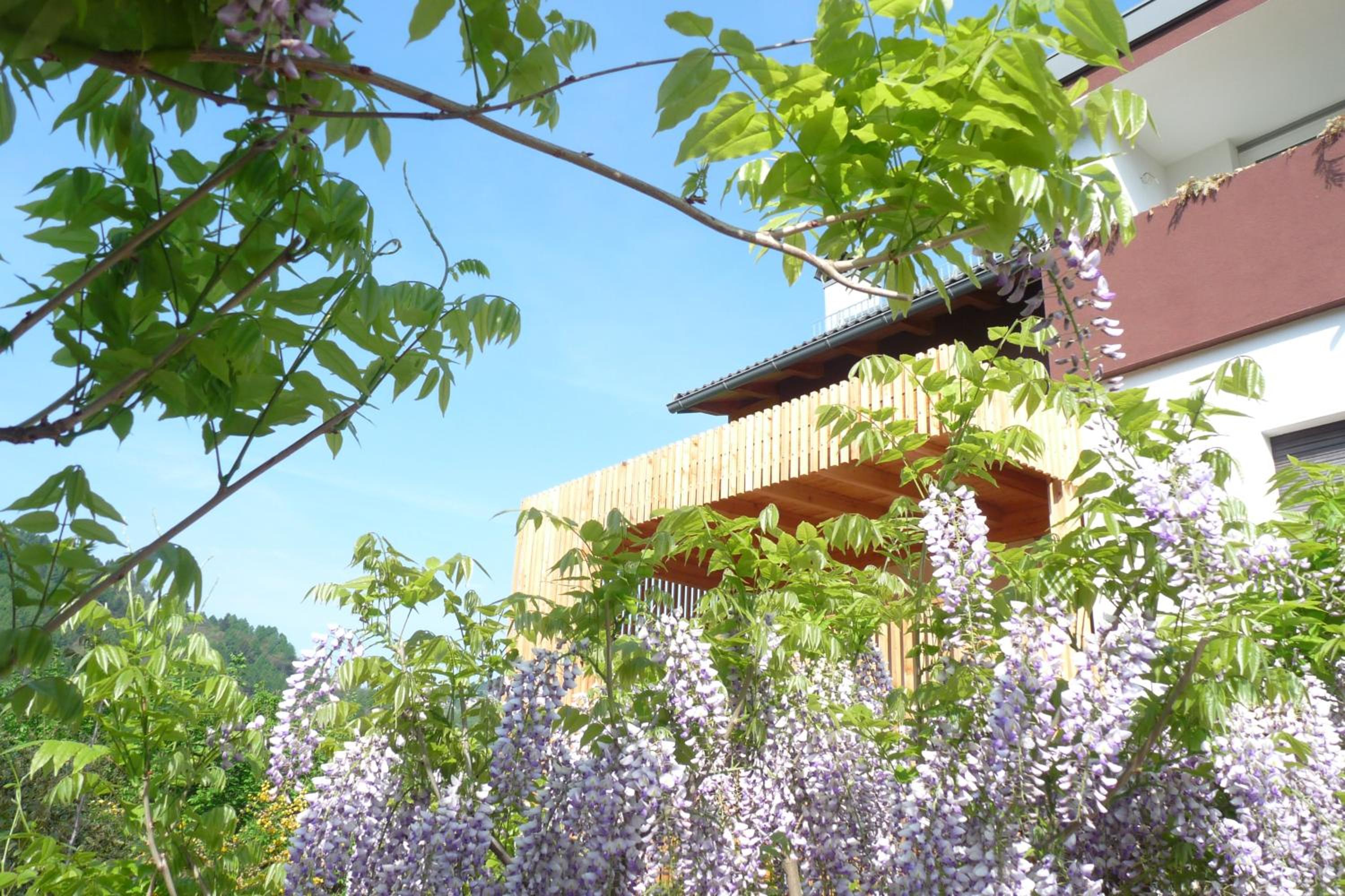 B&B Casa sul Lago - Appartamenti