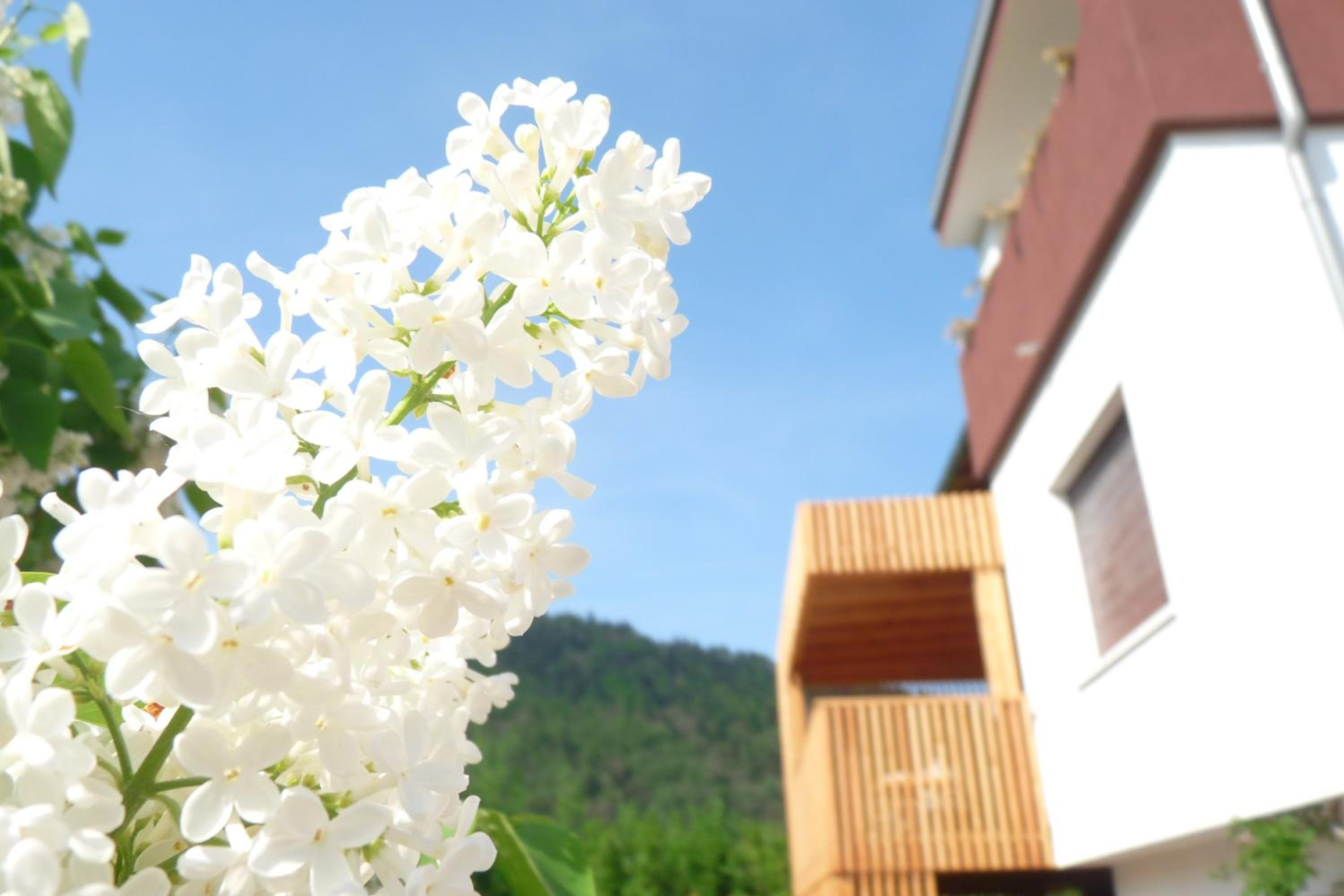 B&B Casa sul Lago - Appartamenti