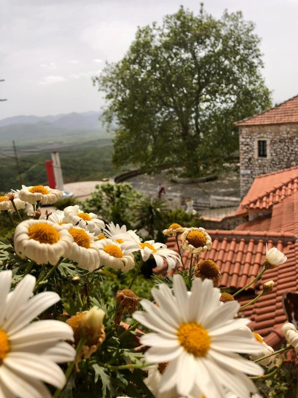 Villa Muzhaqi