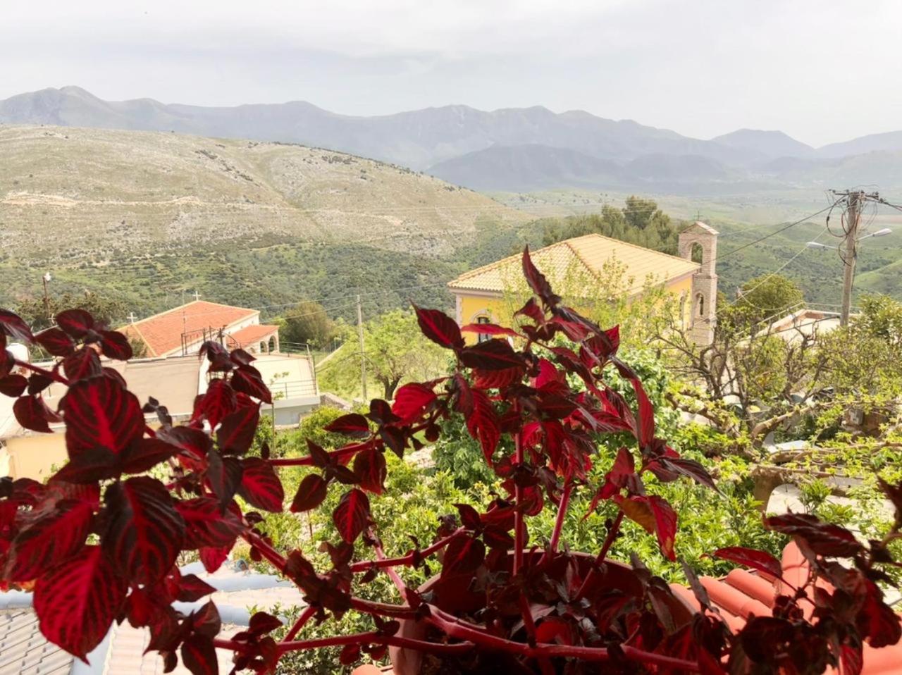 Villa Muzhaqi