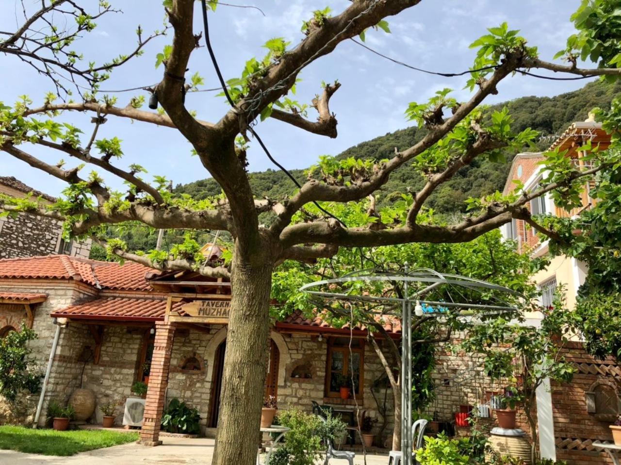 Villa Muzhaqi