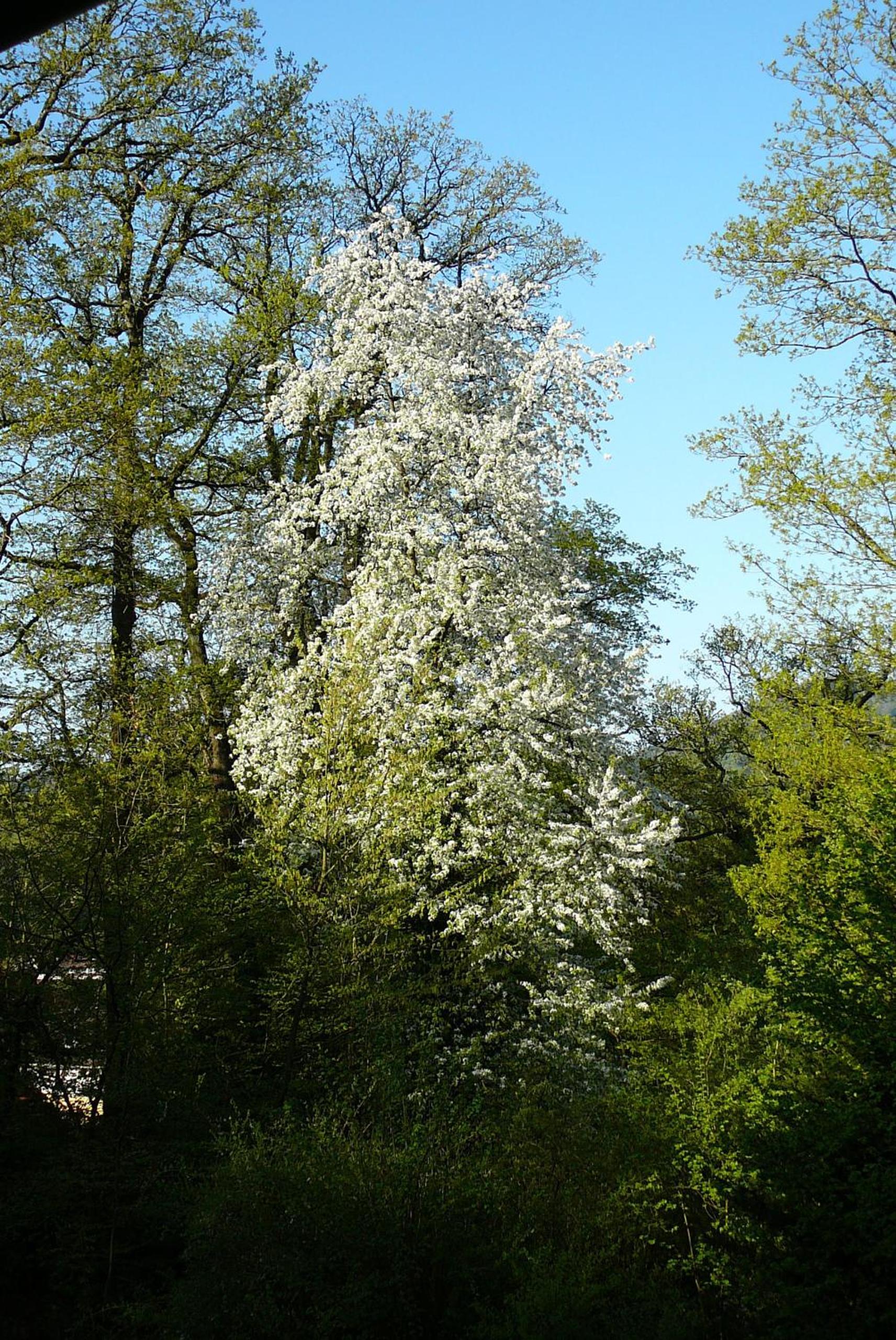 Ferienwohnung am Krippenhof