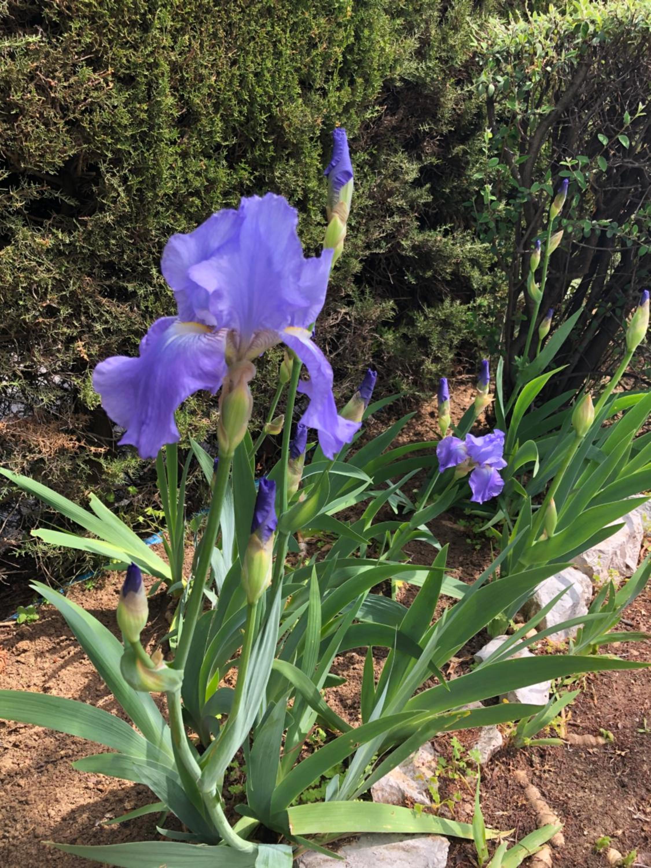 Photo 28