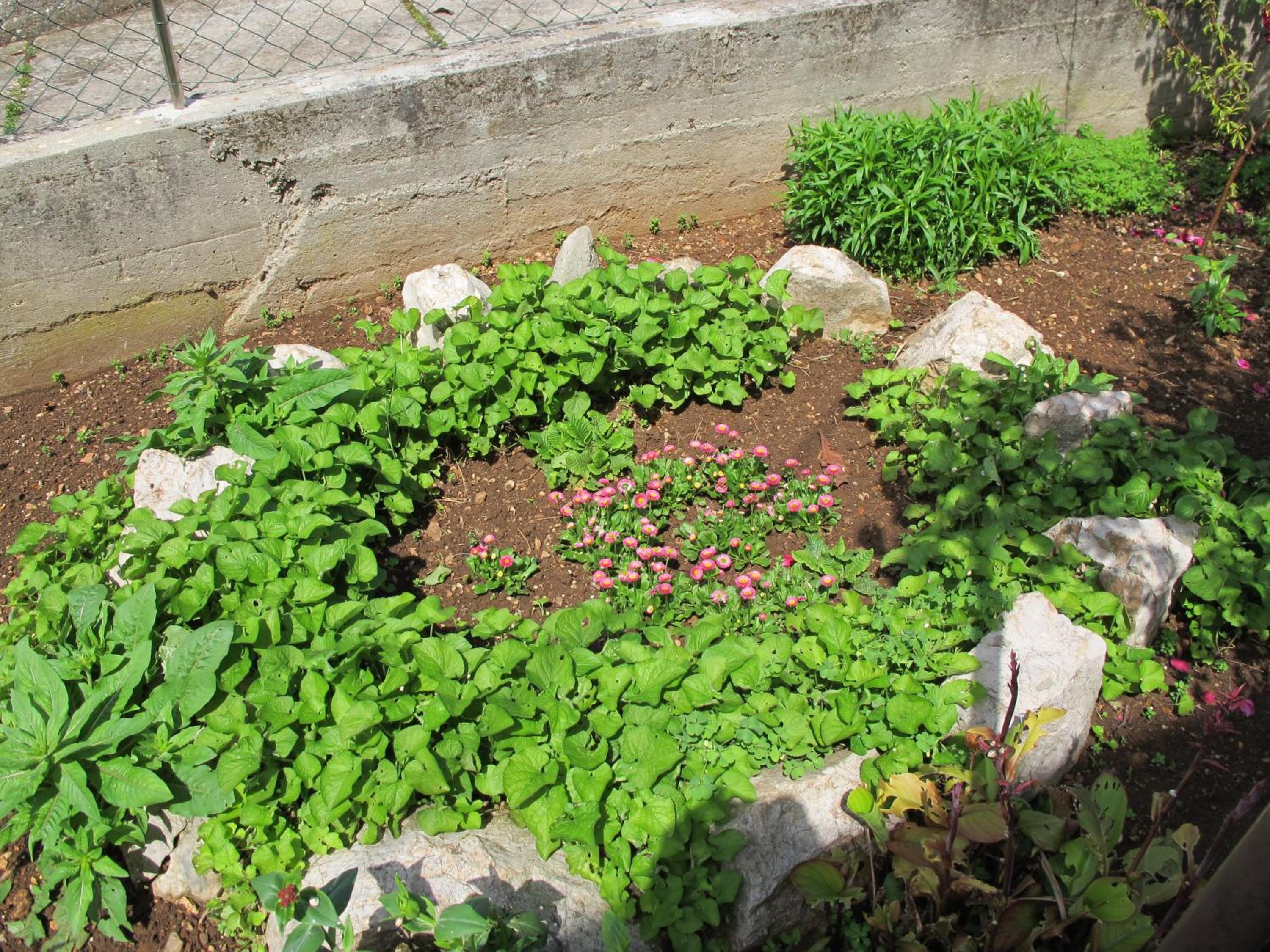 Photo 28
