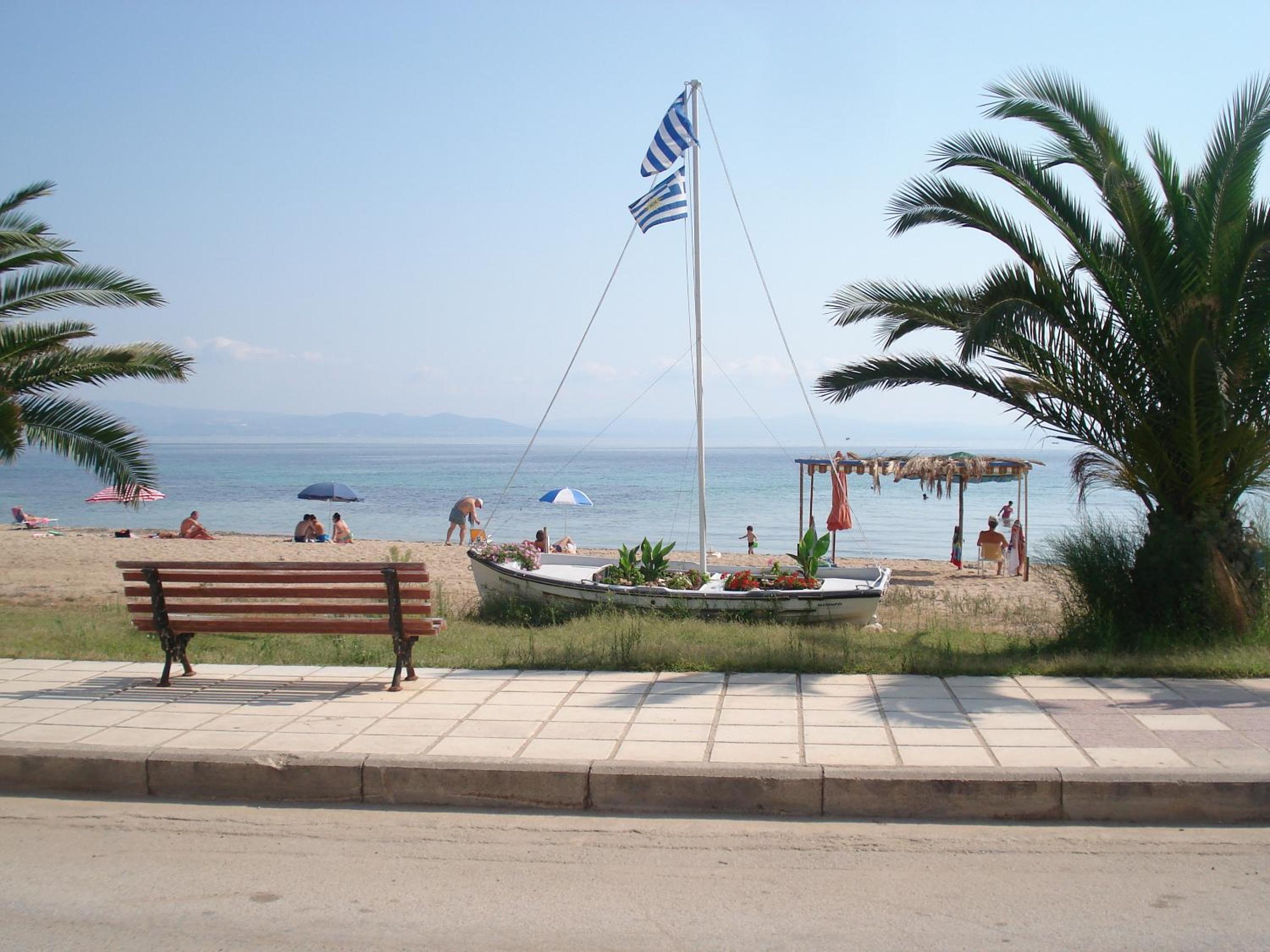 Photo 6