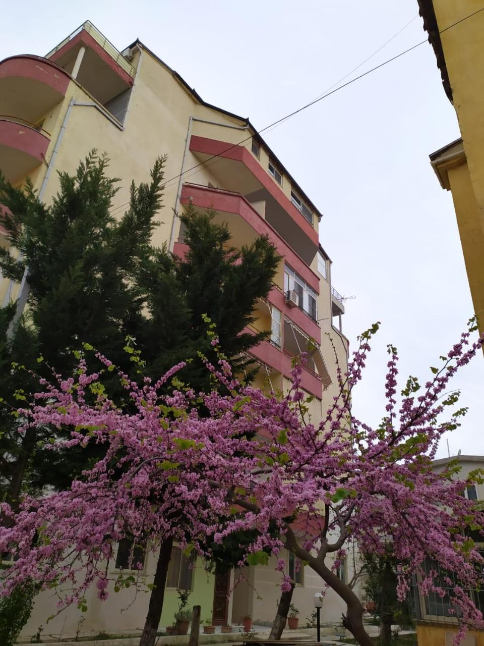 Reli apartament