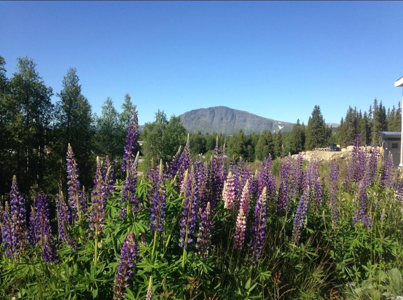Camp Borga view 2