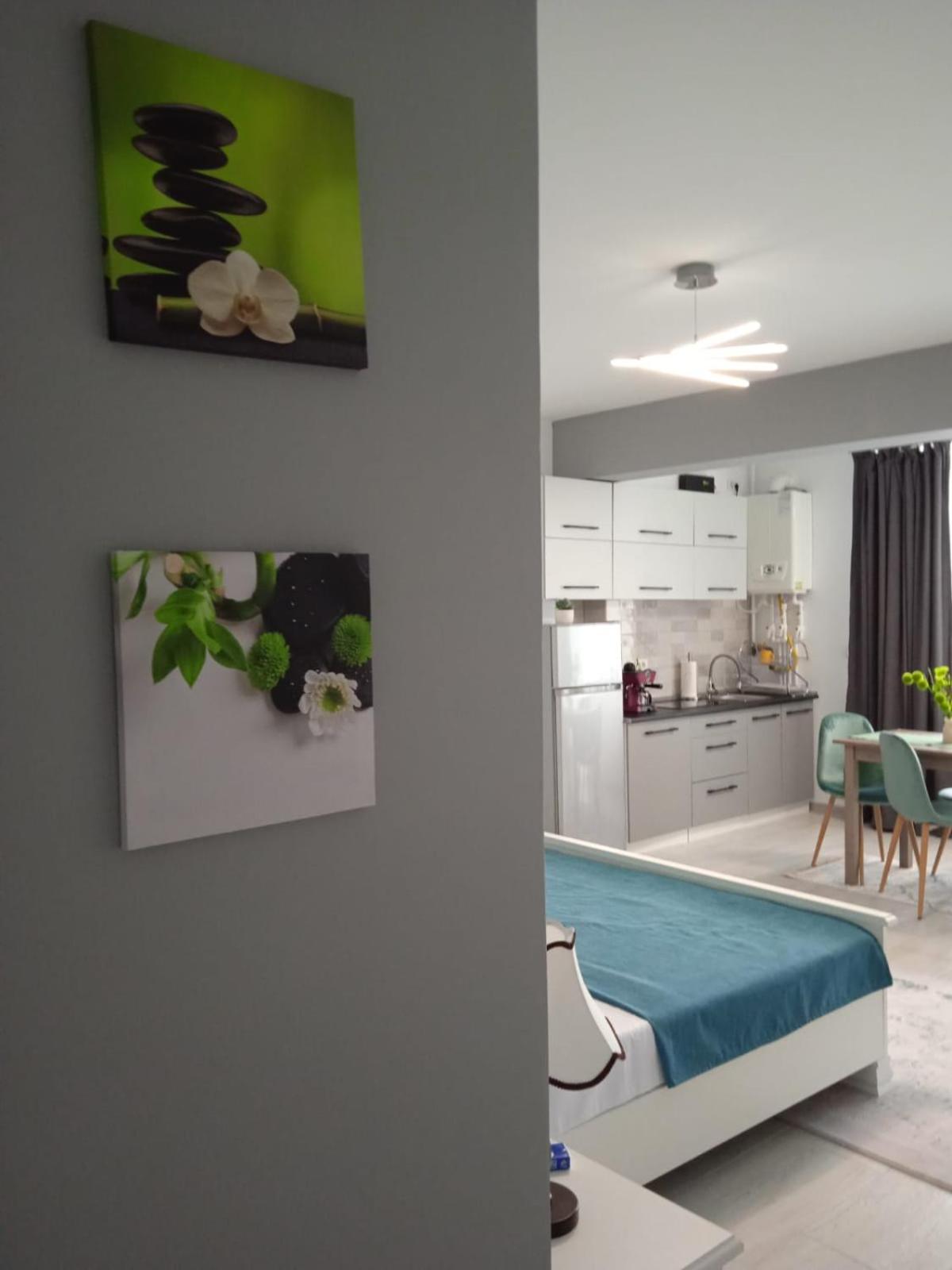 Studio Timeea Mamaia-Nord