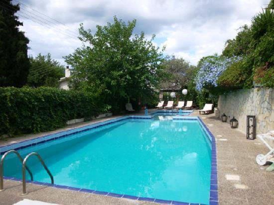 Villa Dolphins photo 2