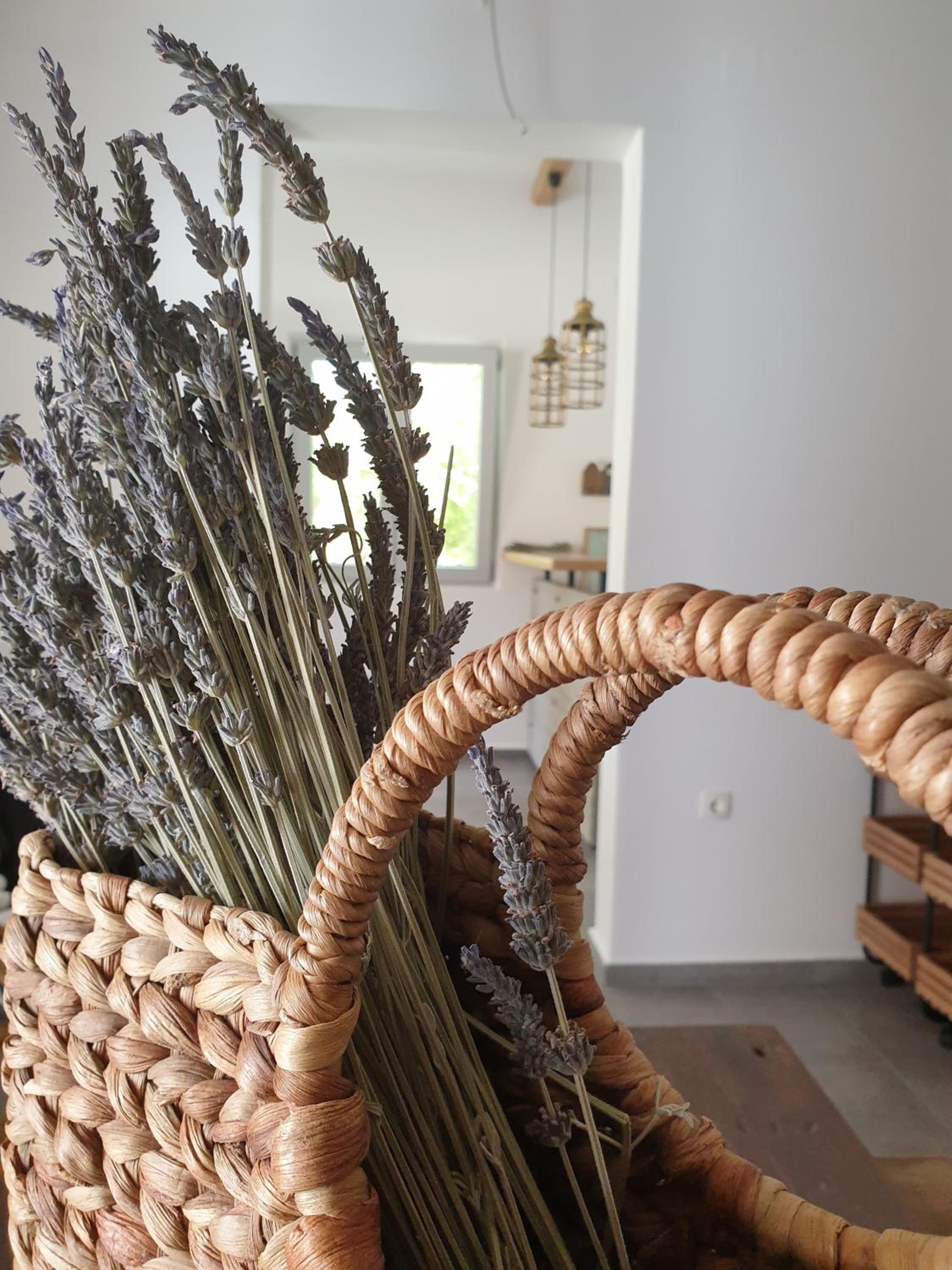 Anassa Cycladic Village, 写真 44