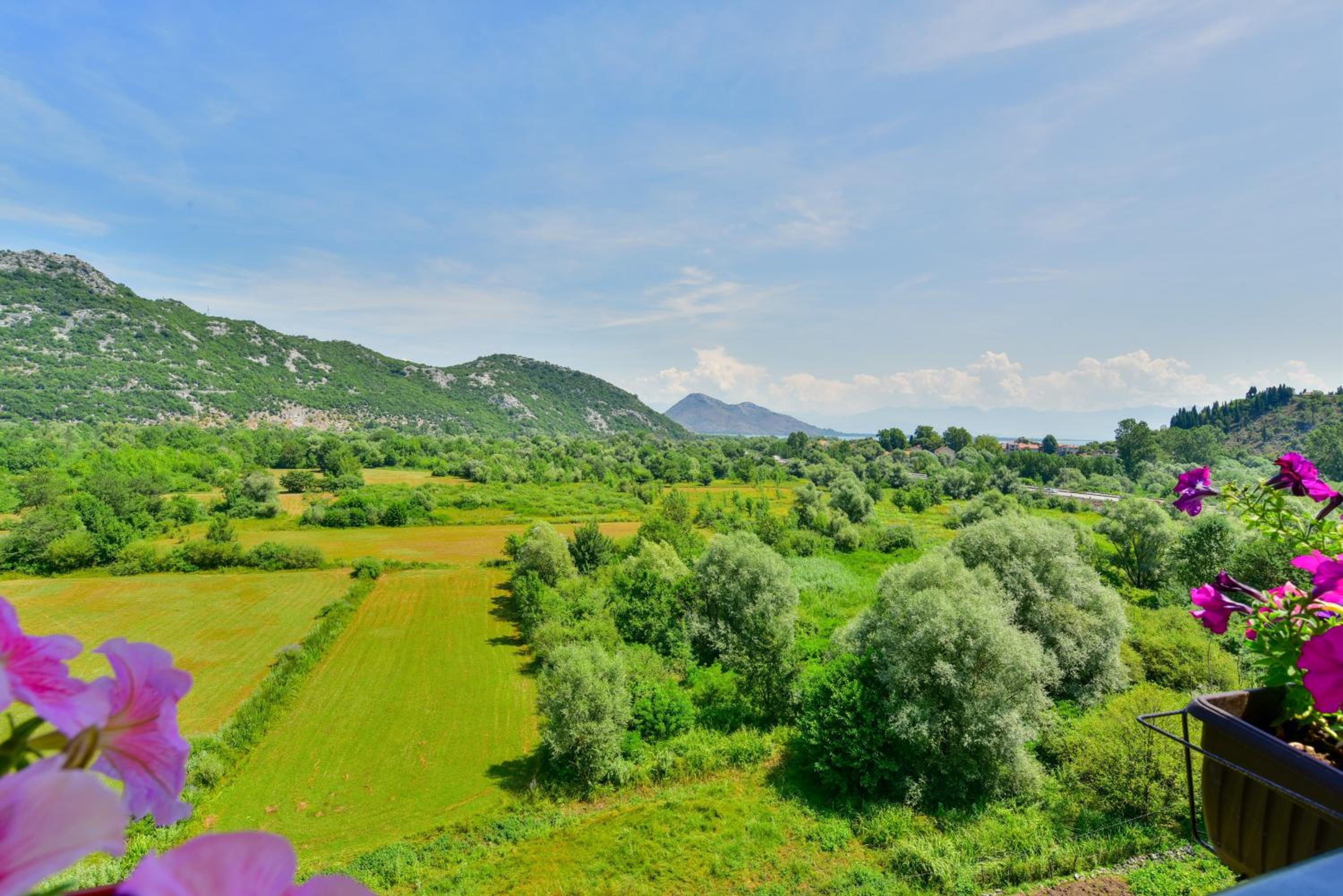 Lakeview Apartments Anđela