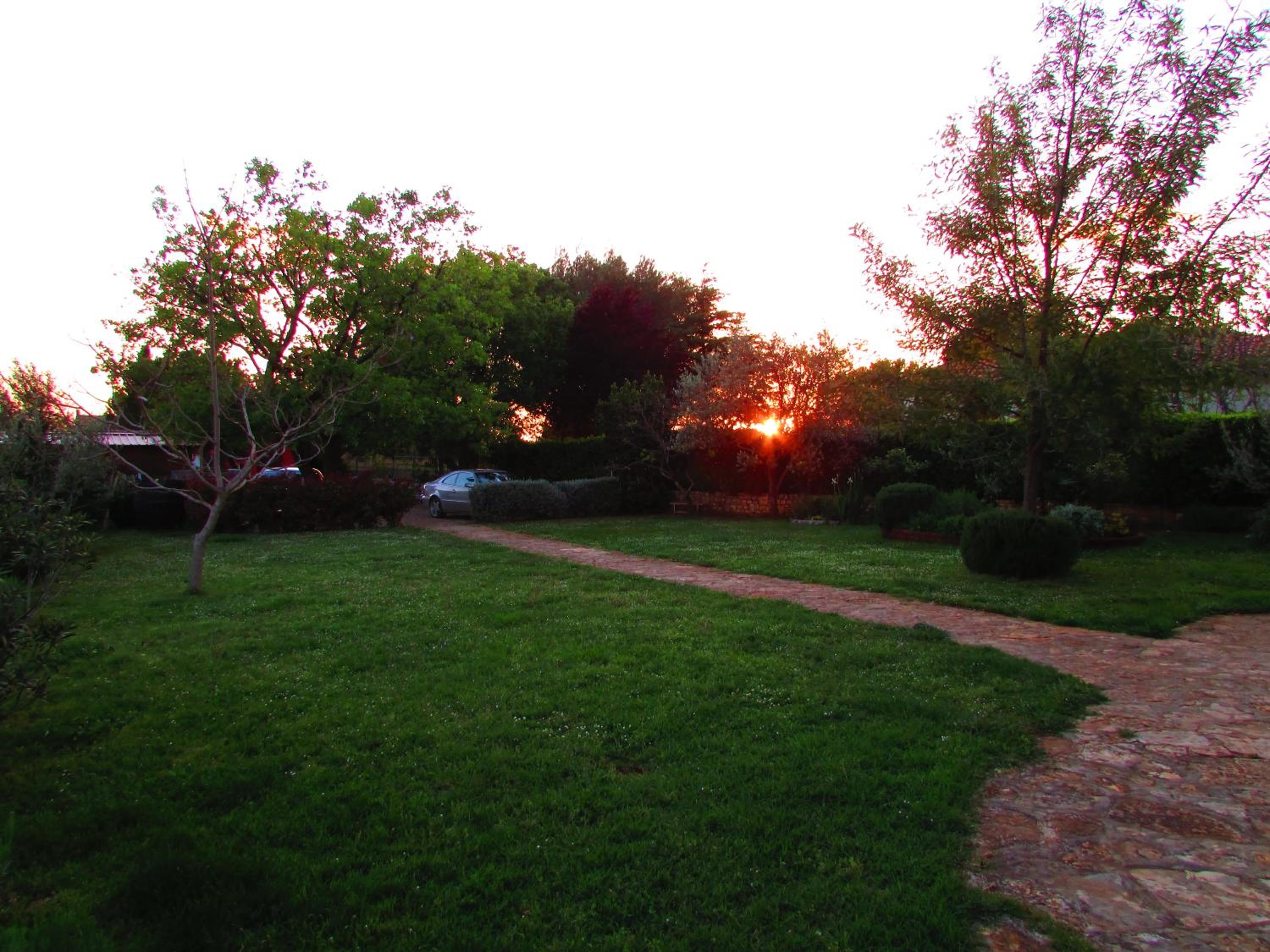 Photo 28